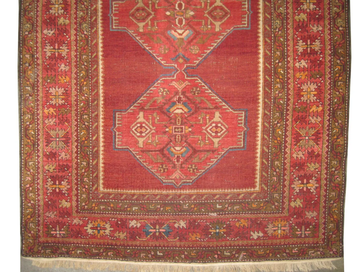 Kouba Caucasian - Image 3
