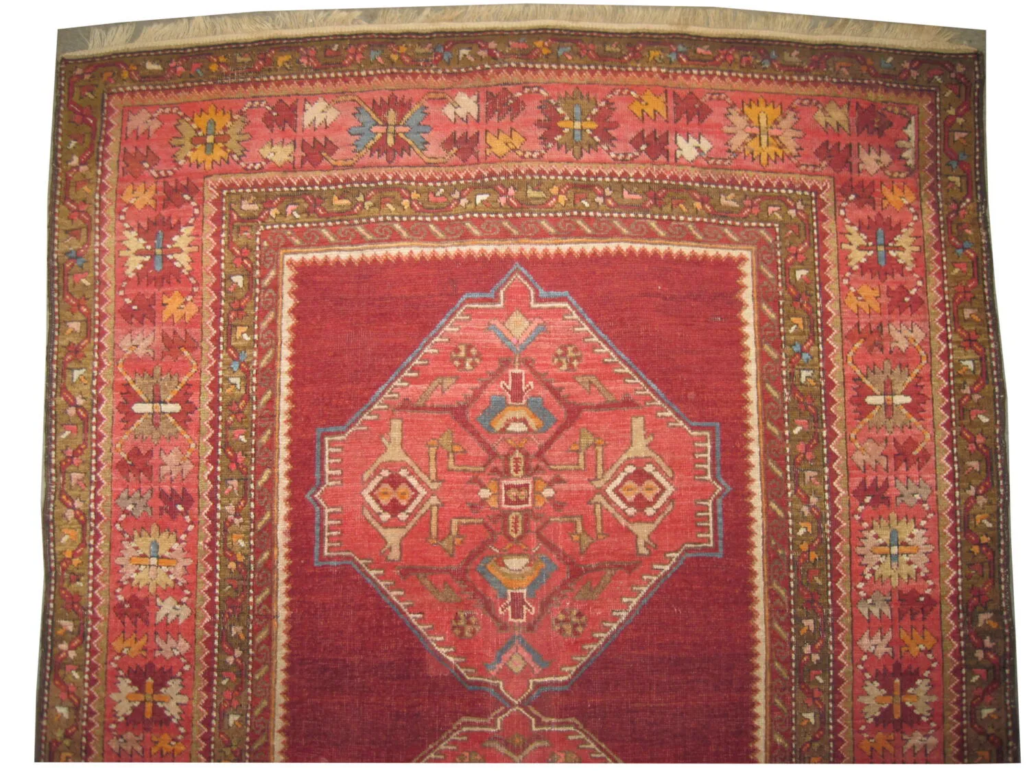 Kouba Caucasian - Image 2