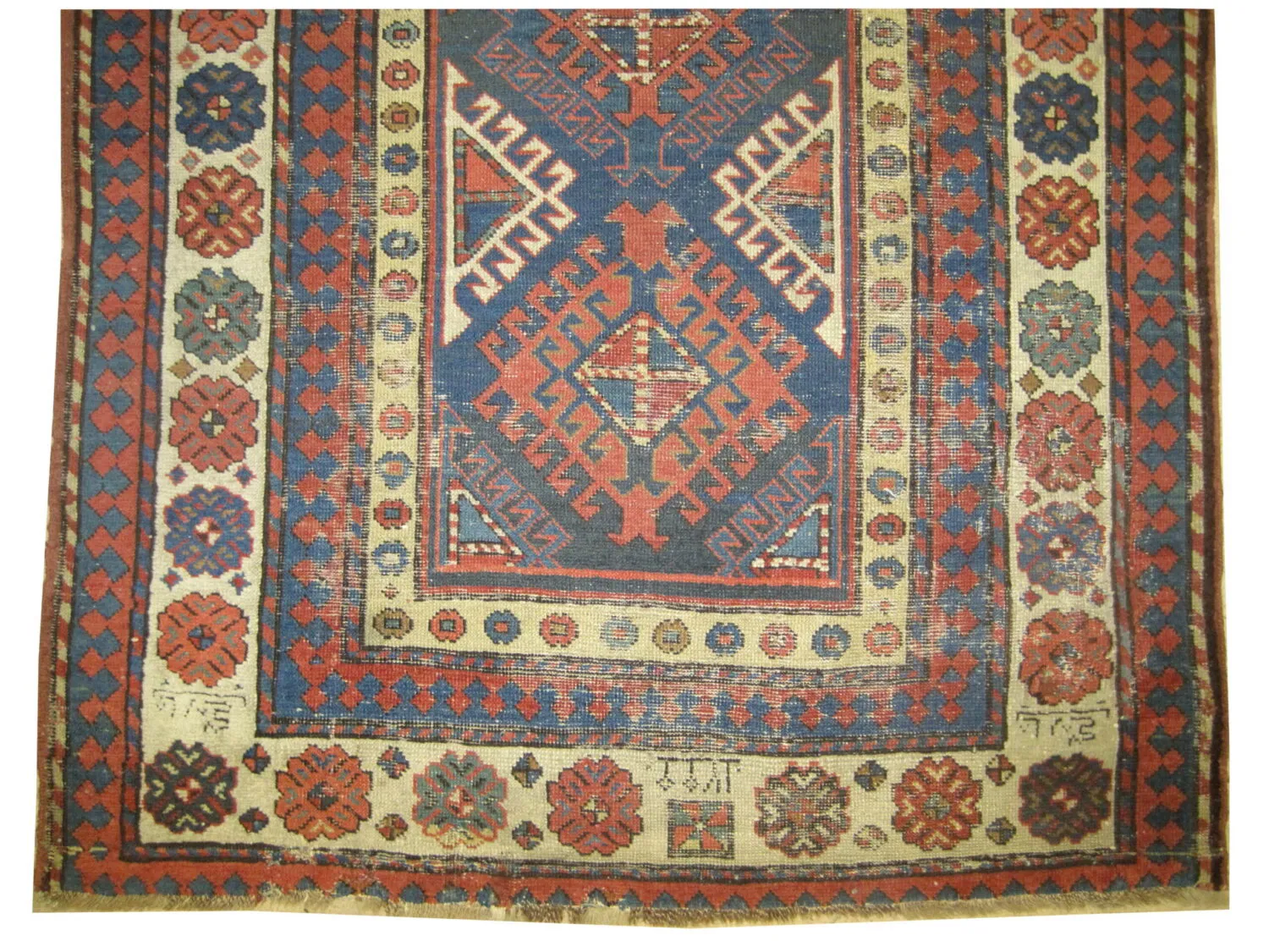 Talish Caucasian - Image 3