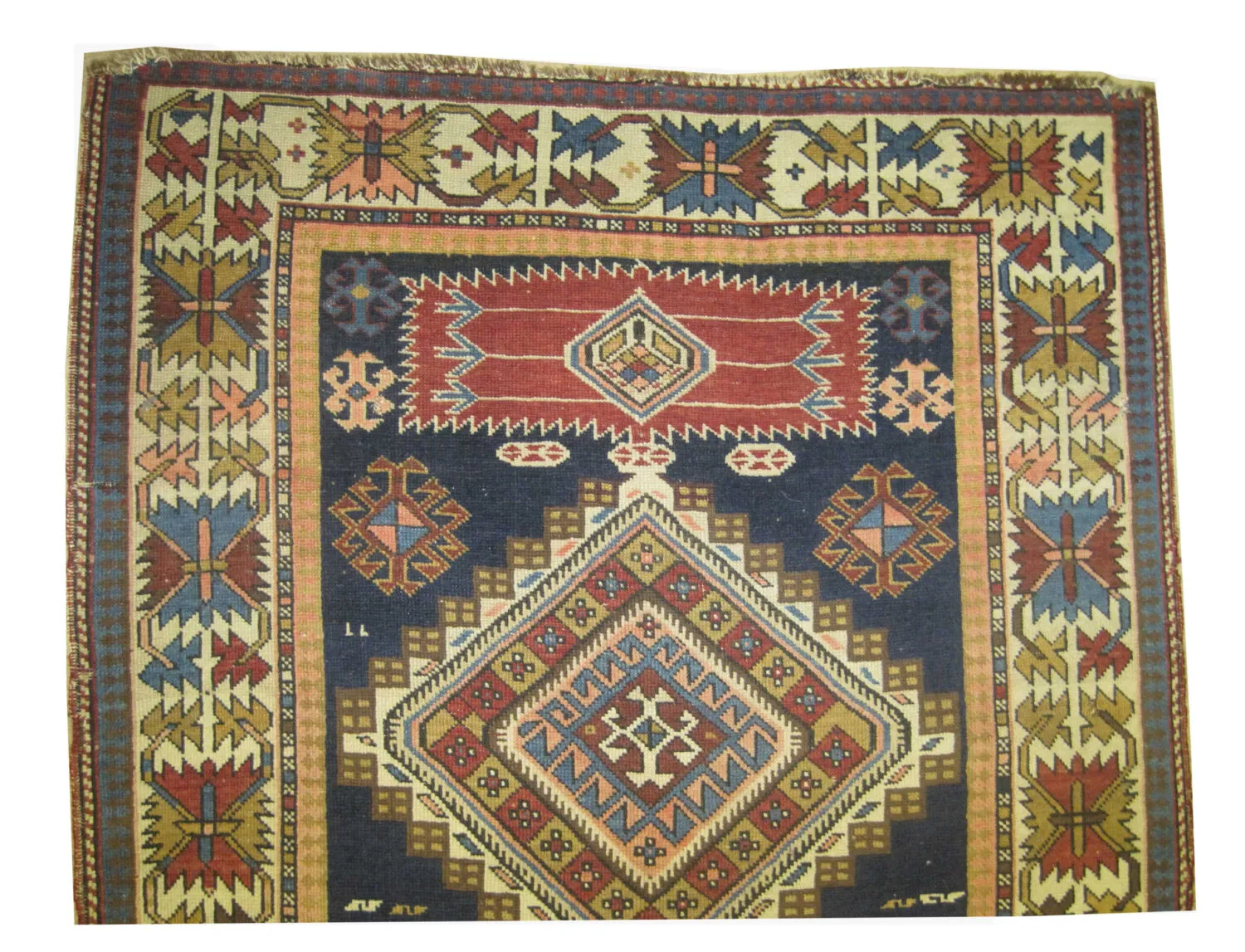 Shirvan Caucasian - Image 3
