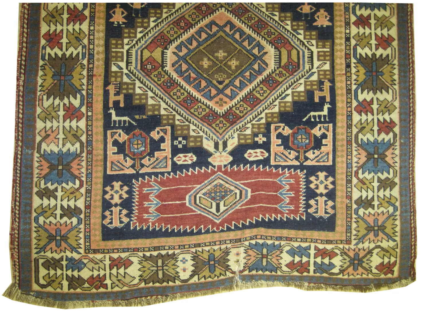 Shirvan Caucasian - Image 2