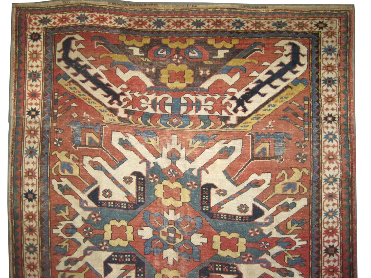 Chelaberd Caucasian - Image 4