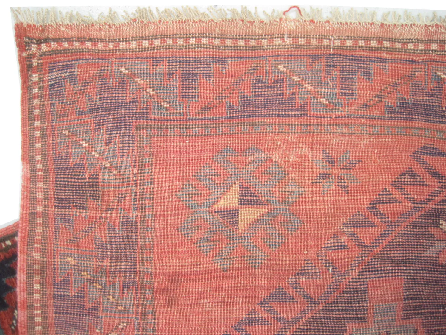 Fachralo Kazak Caucasian - Image 4