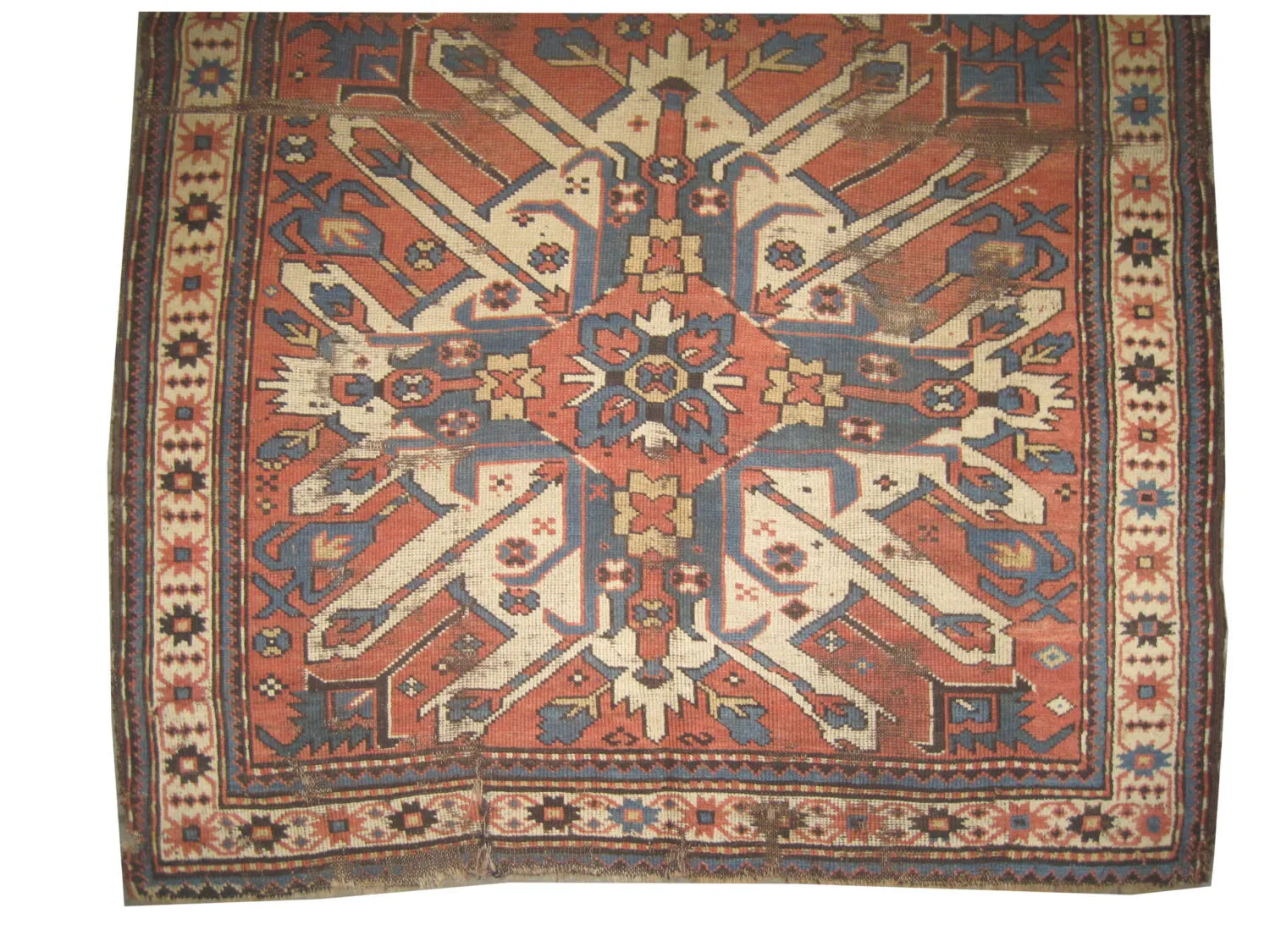 Chelaberd Caucasian - Image 2