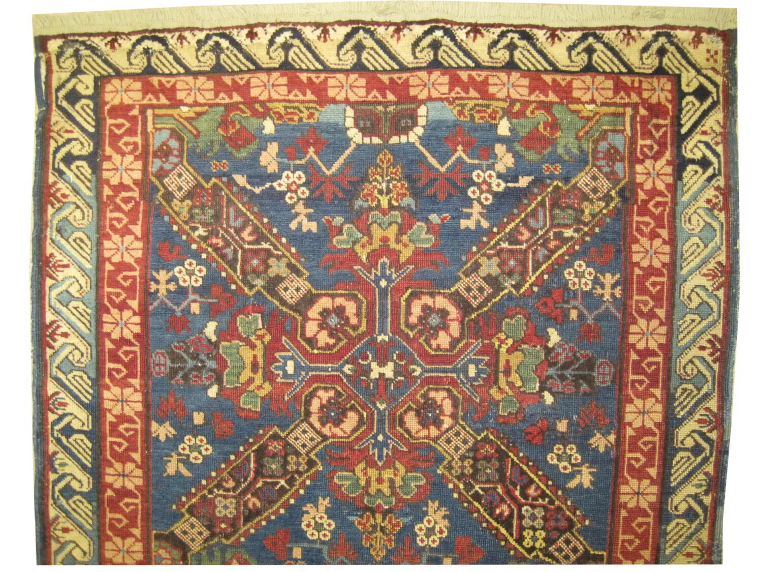 Sejshour Caucasian - Image 3