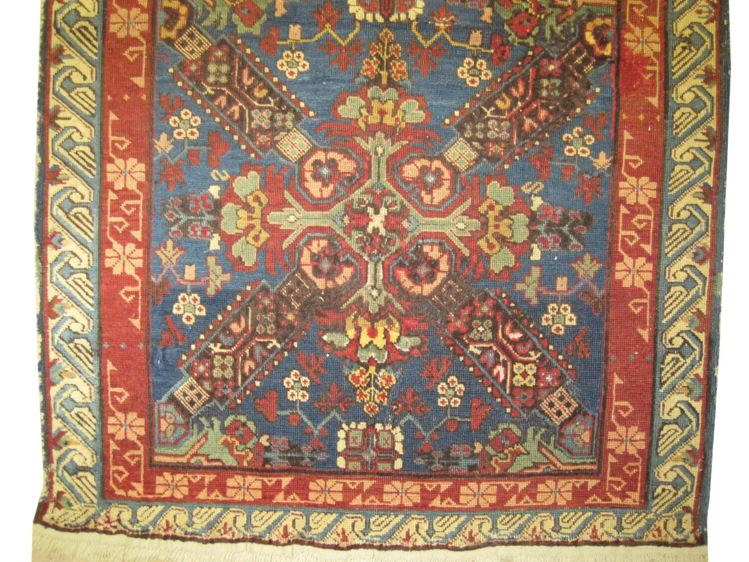 Sejshour Caucasian - Image 2