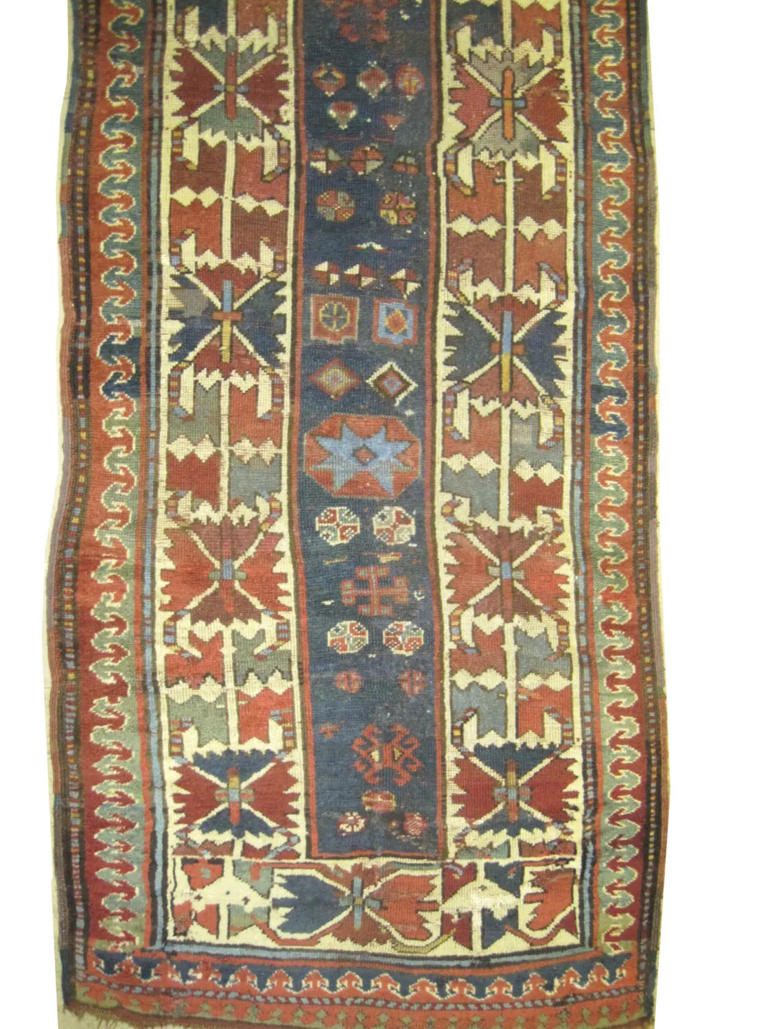 Talish Caucasian - Image 3