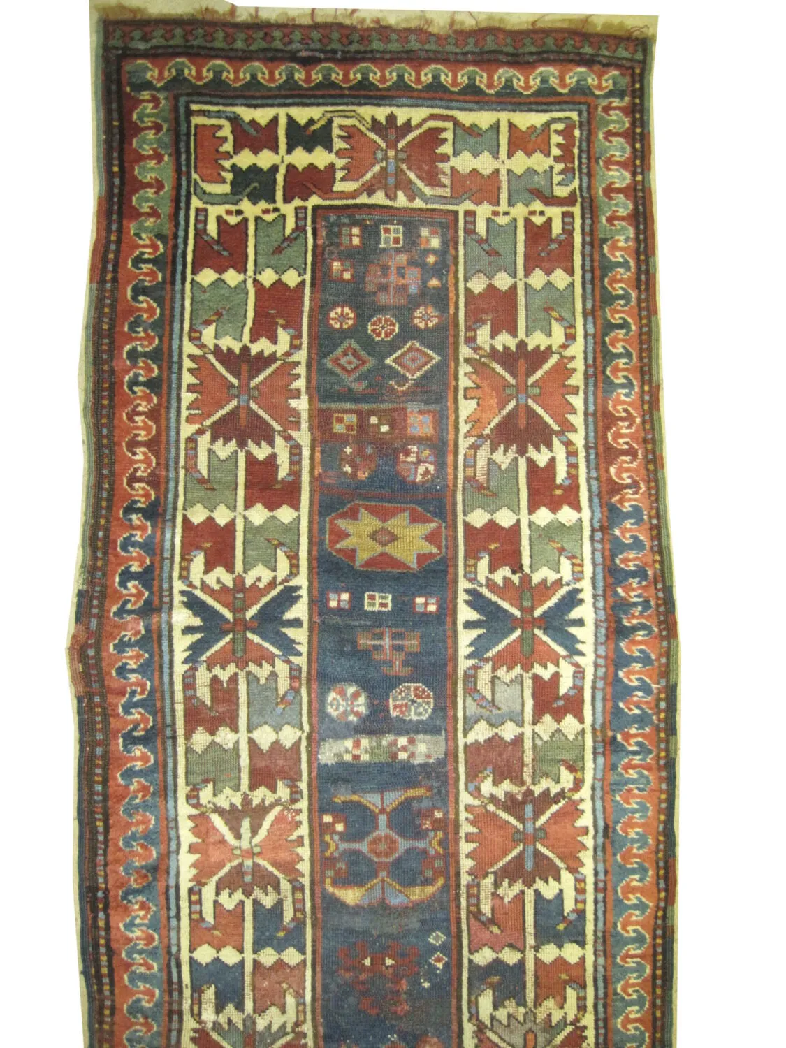 Talish Caucasian - Image 2