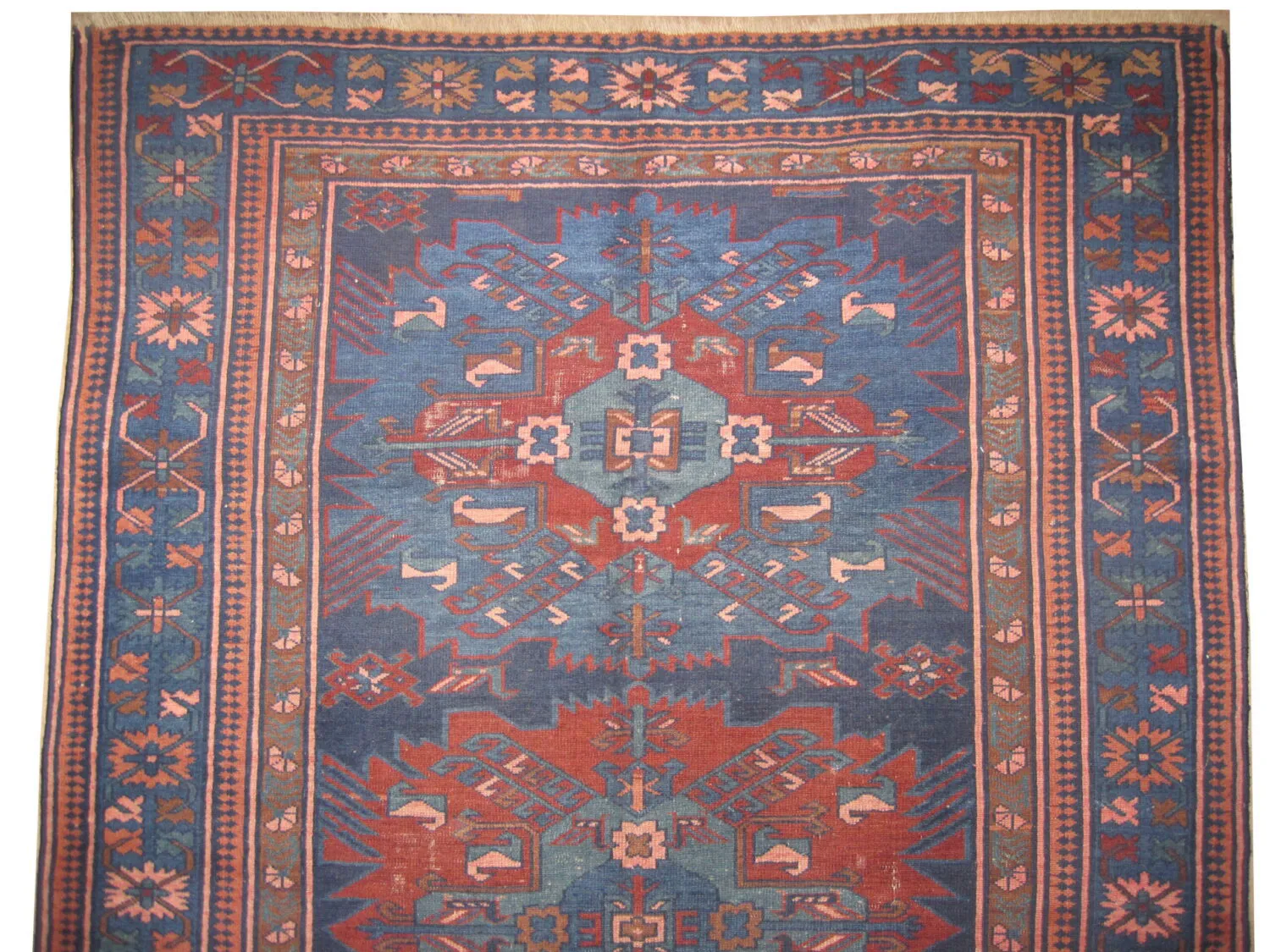 Zejwa Caucasian - Image 2