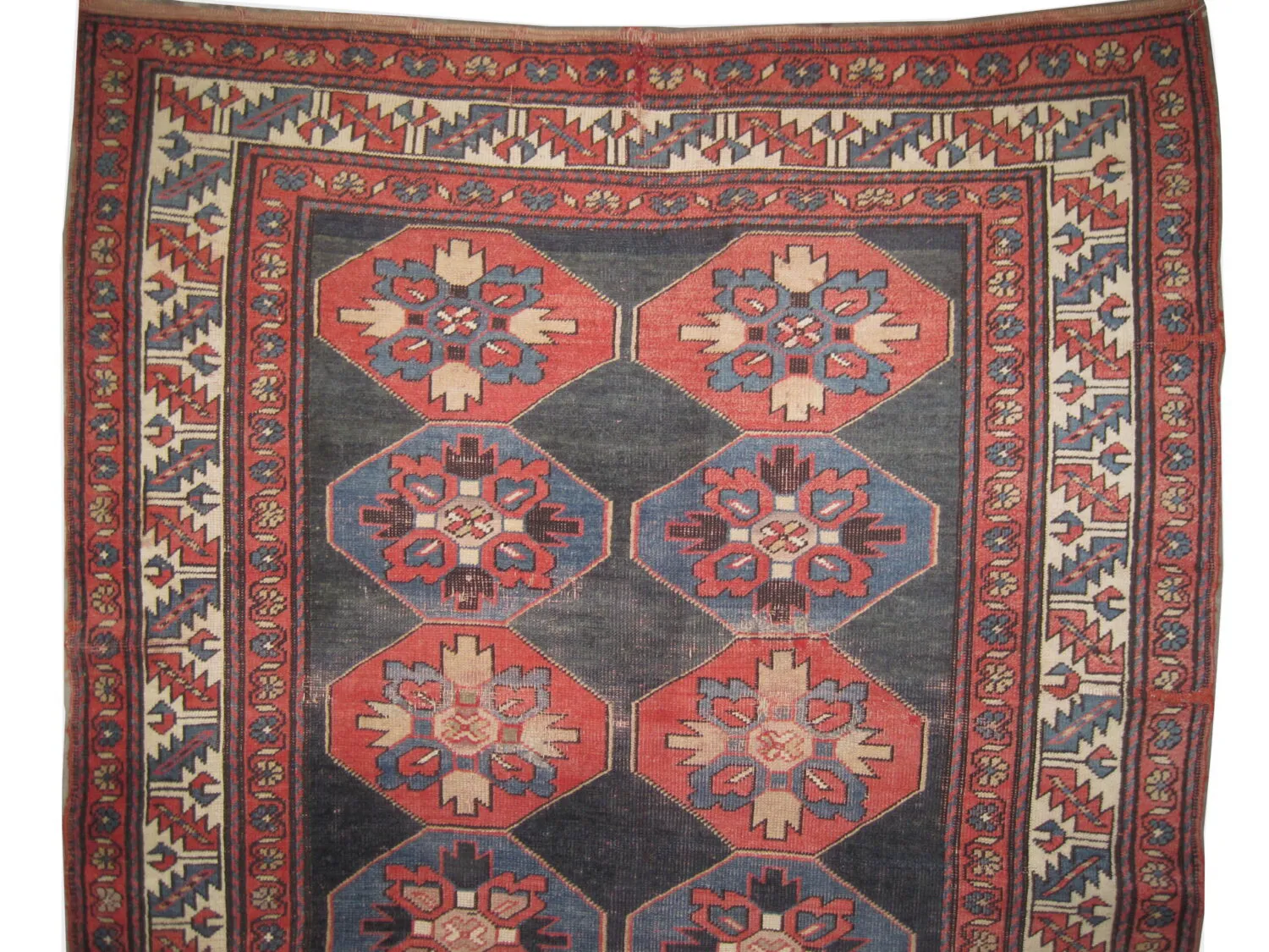 Lambalo Kazak Caucasian - Image 3