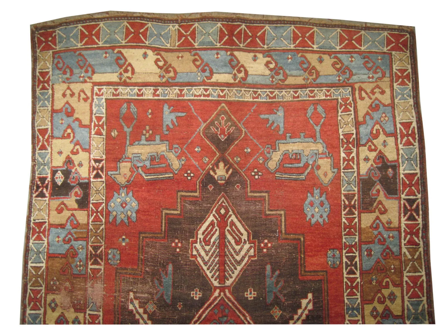 Karabagh Caucasian - Image 3