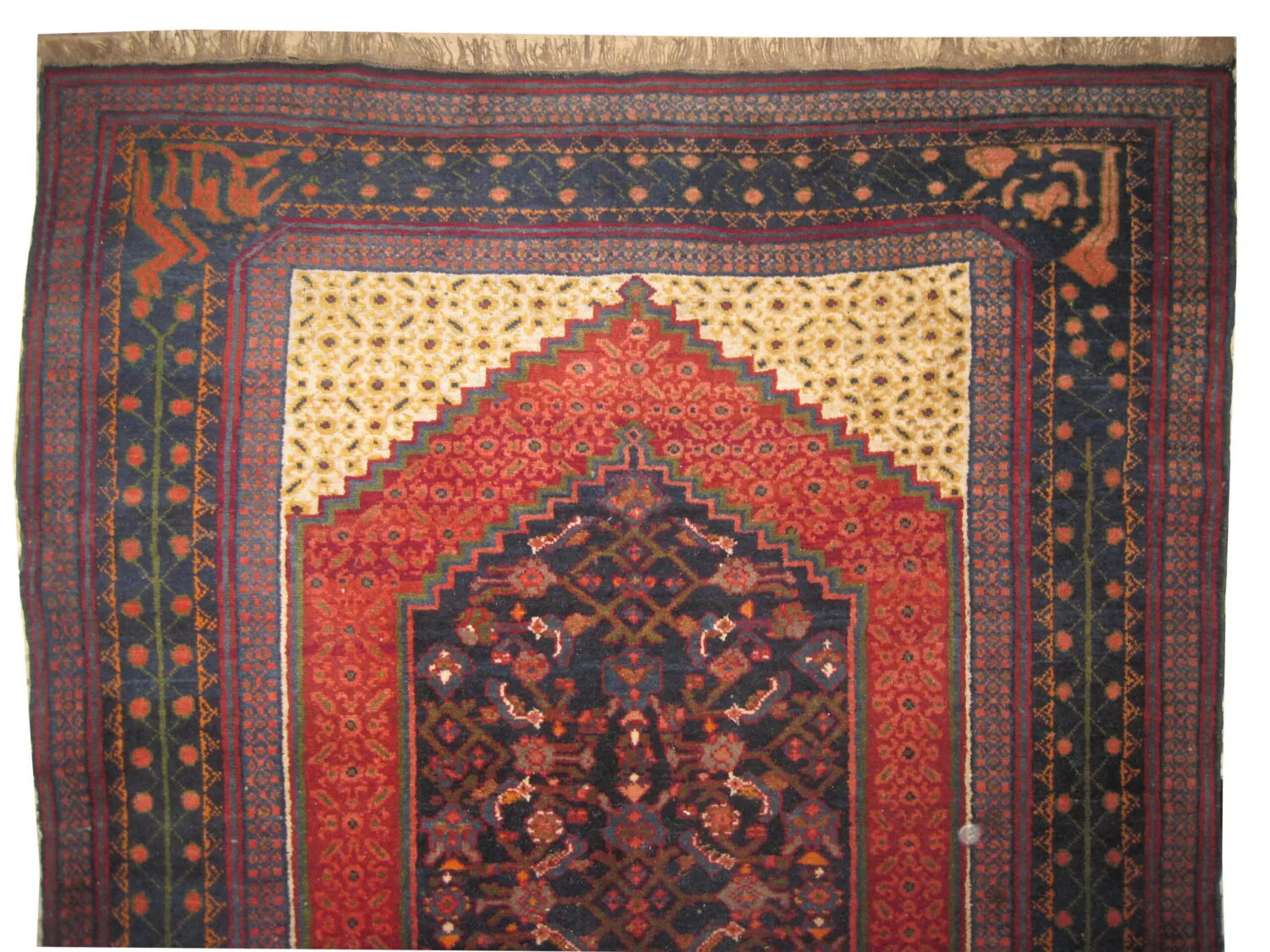 Karabagh Caucasian - Image 3