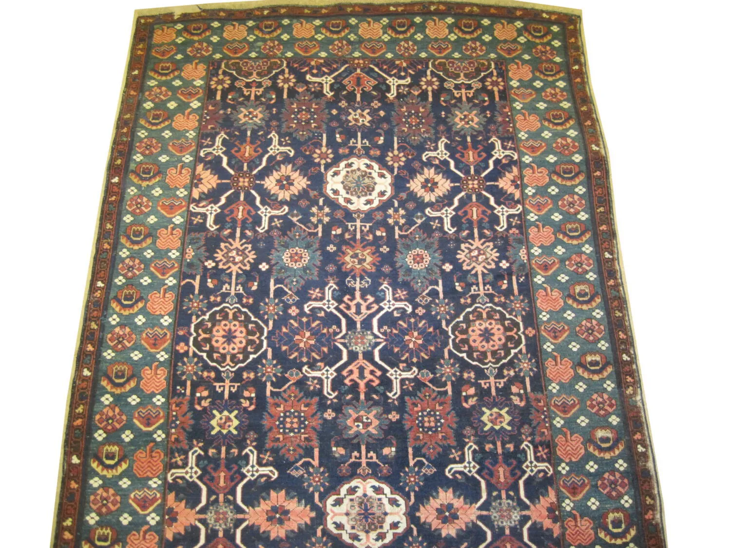 Karakashli Caucasian