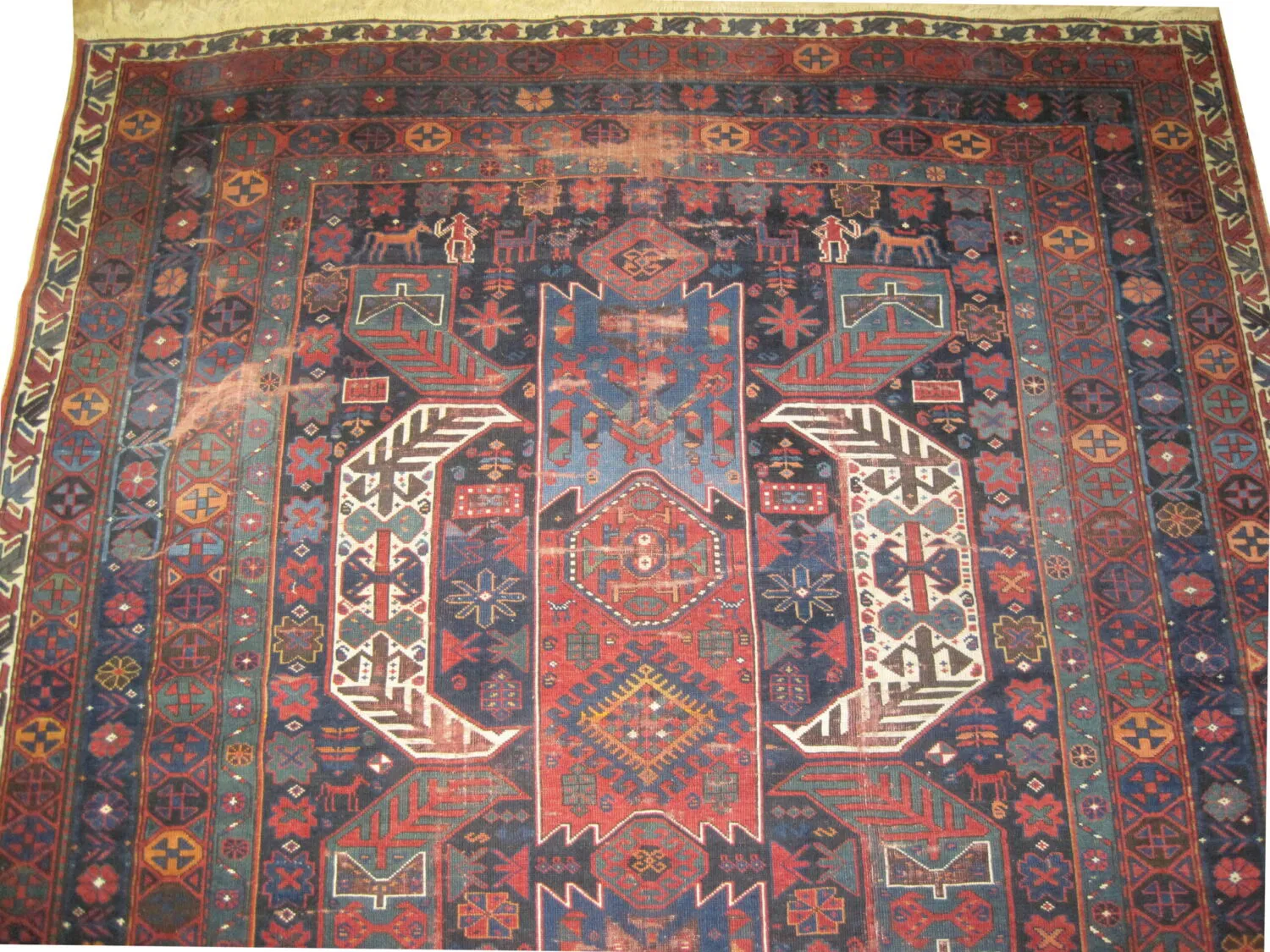 Goradis Caucasian - Image 3
