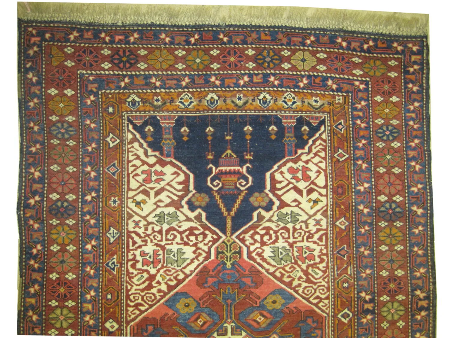 Kouba Caucasian - Image 3
