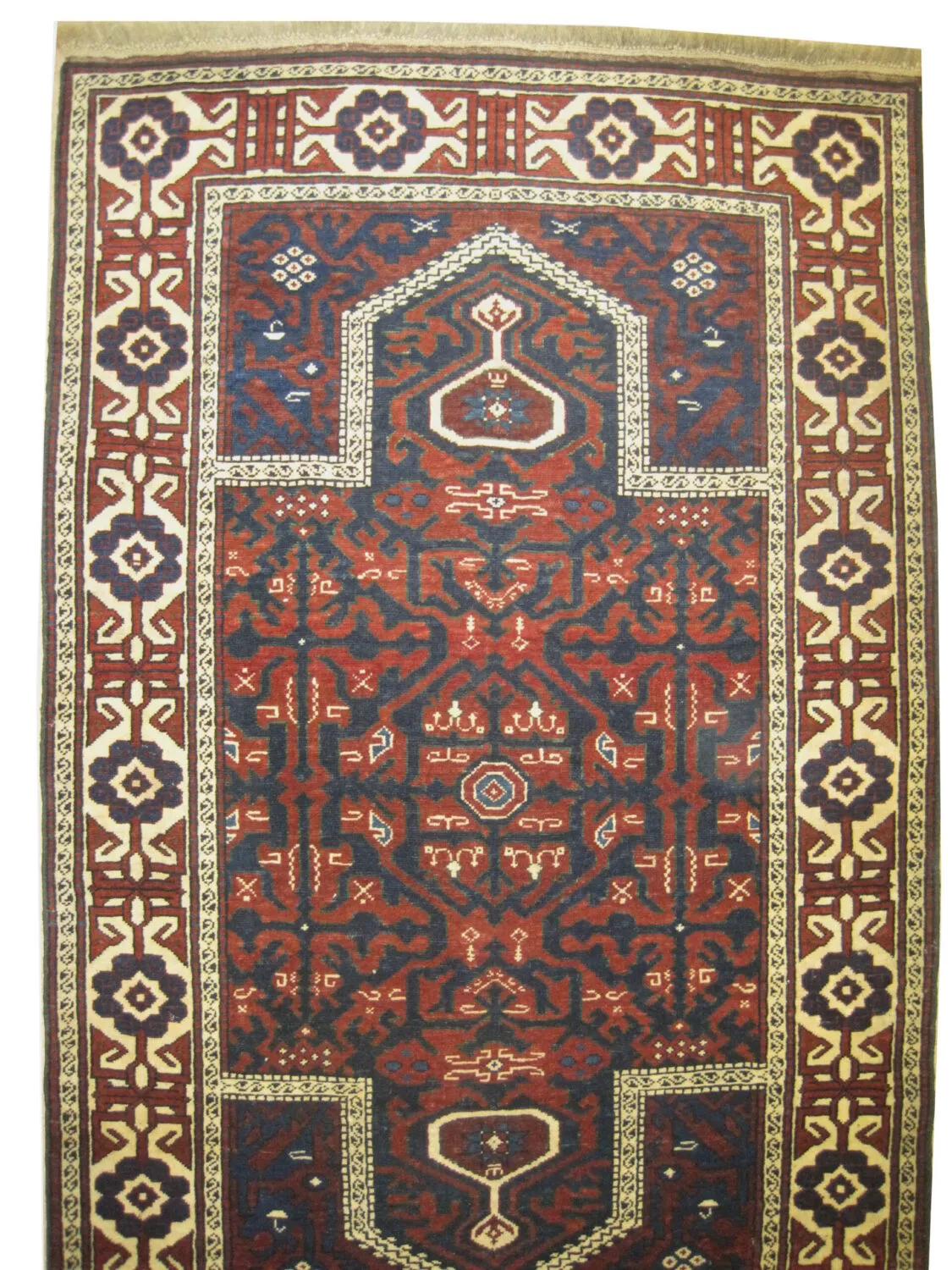 Kouba Caucasian - Image 2