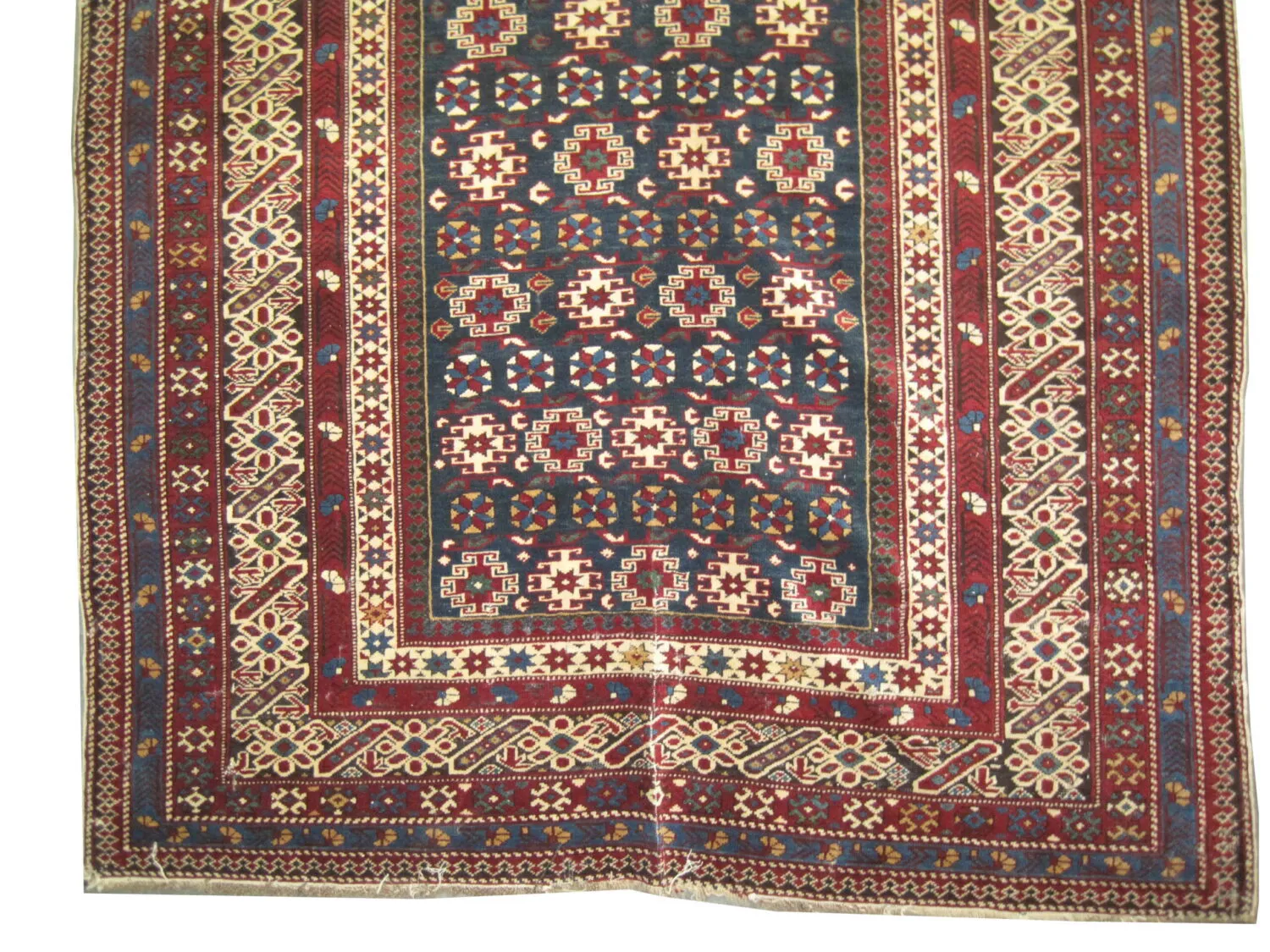 Chichi Caucasian - Image 3