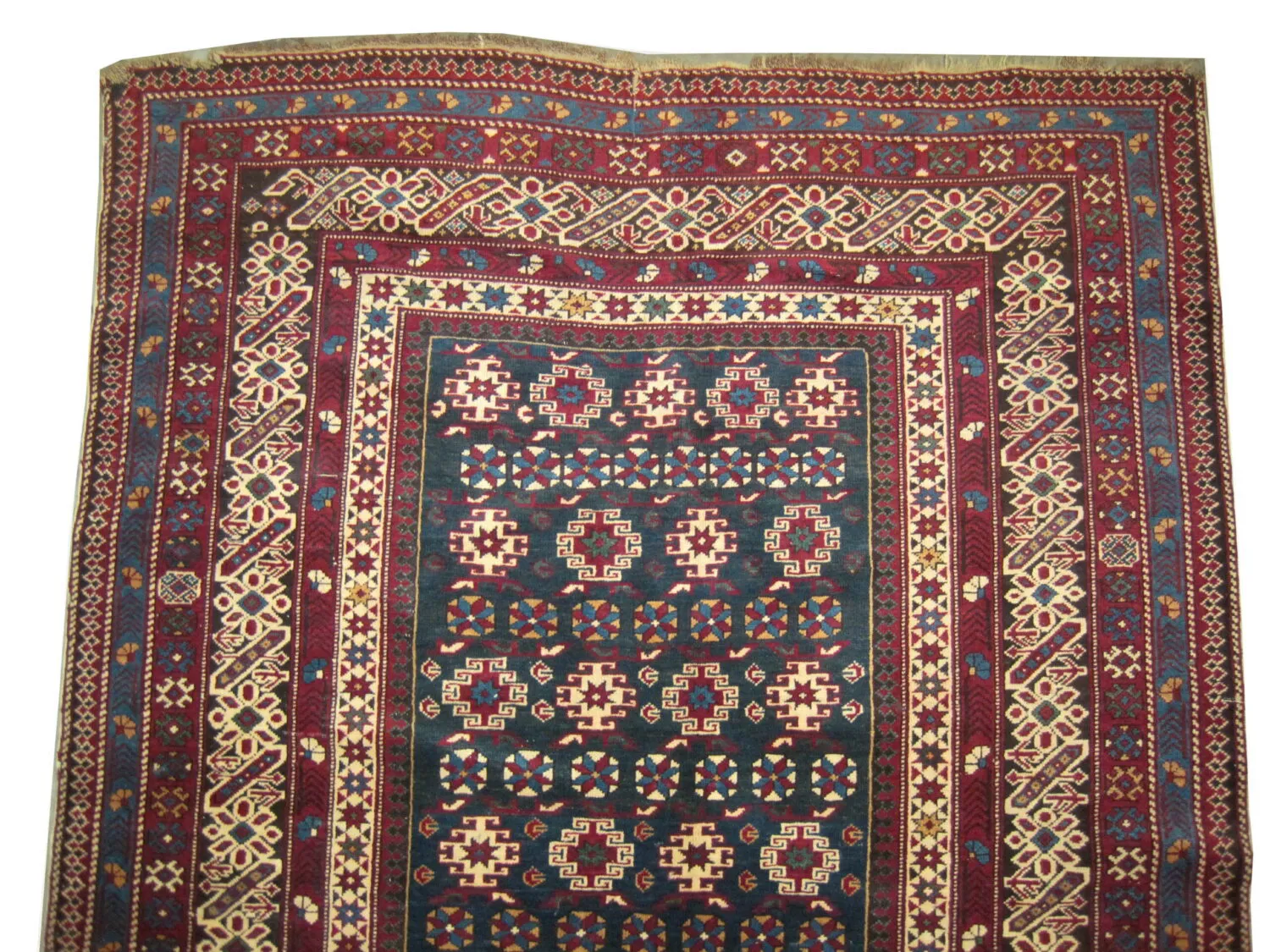 Chichi Caucasian - Image 2