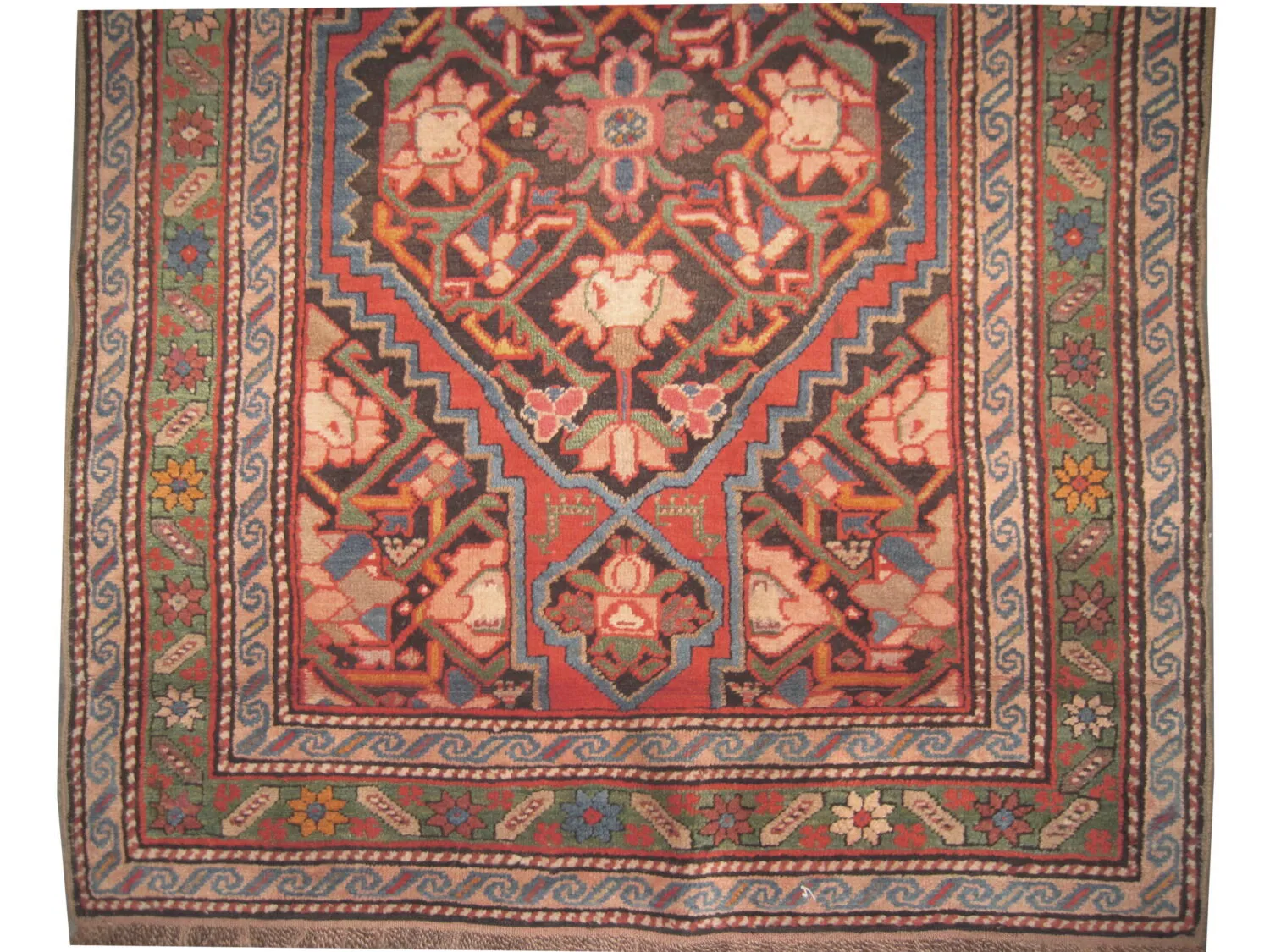 Karabagh Caucasian - Image 3