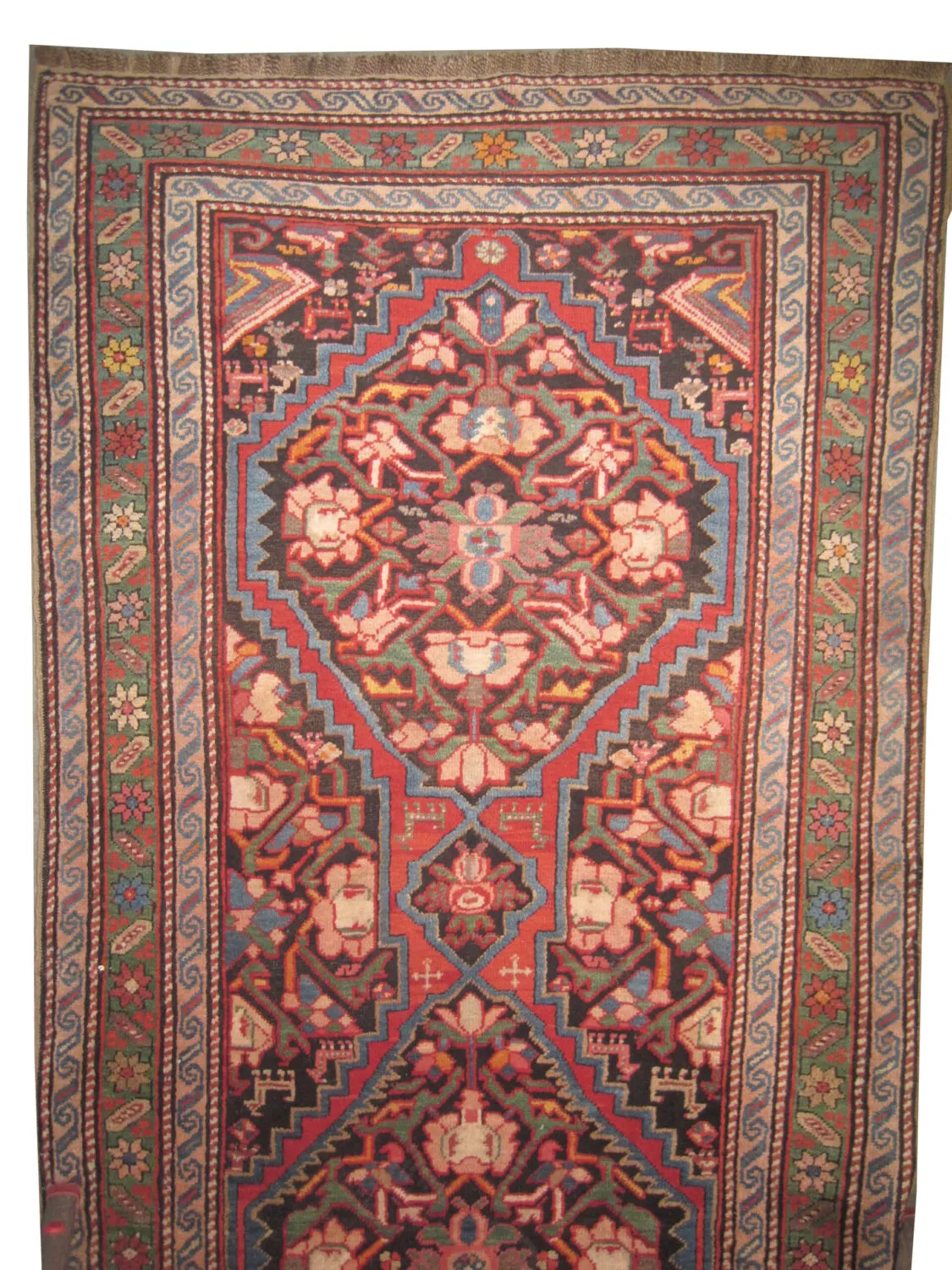 Karabagh Caucasian - Image 2