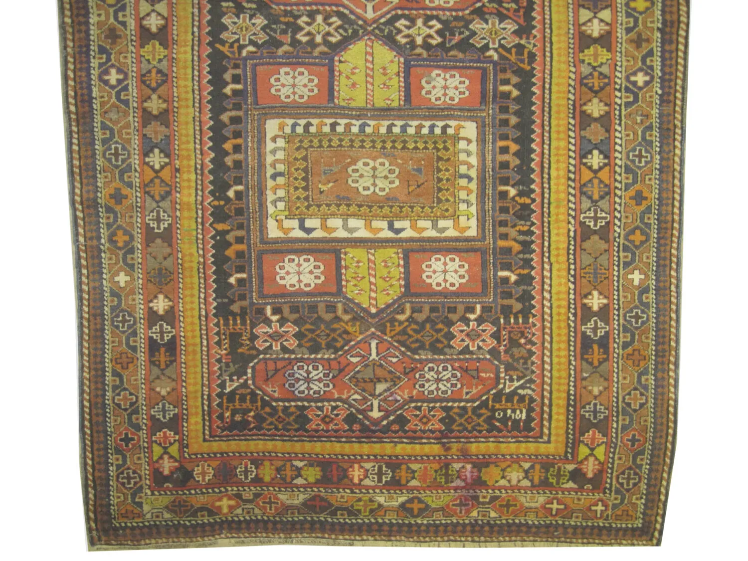 Shirvan Caucasian - Image 2