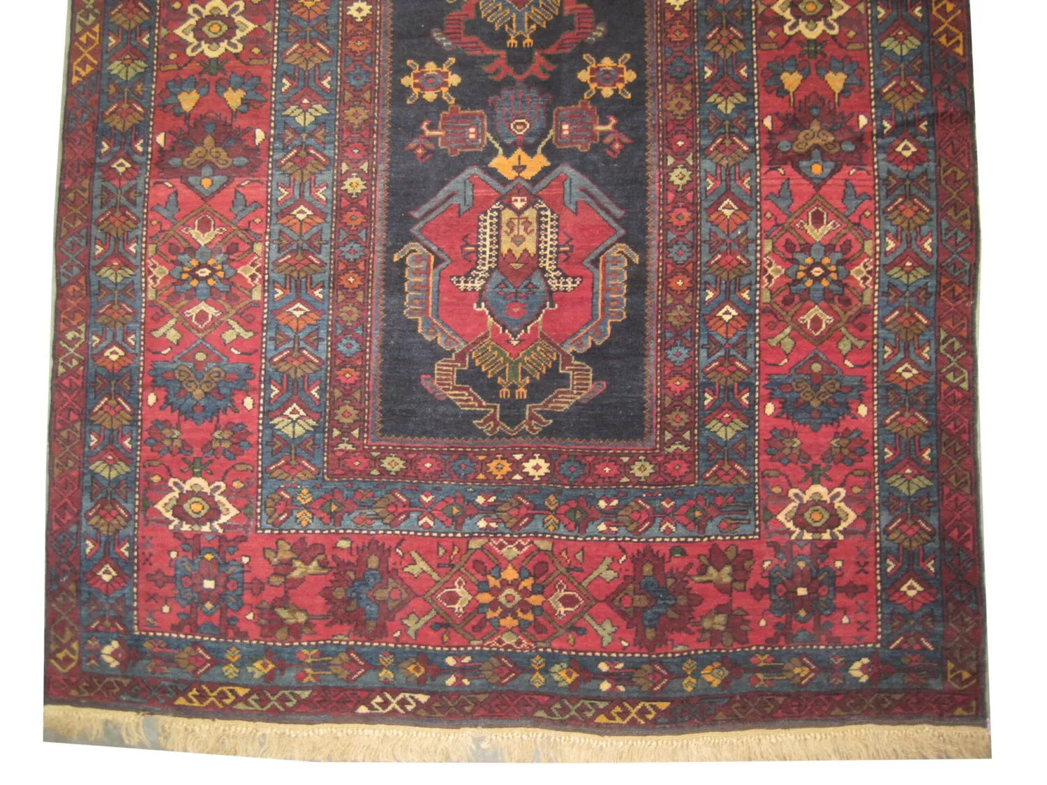 Kouba Caucasian - Image 3