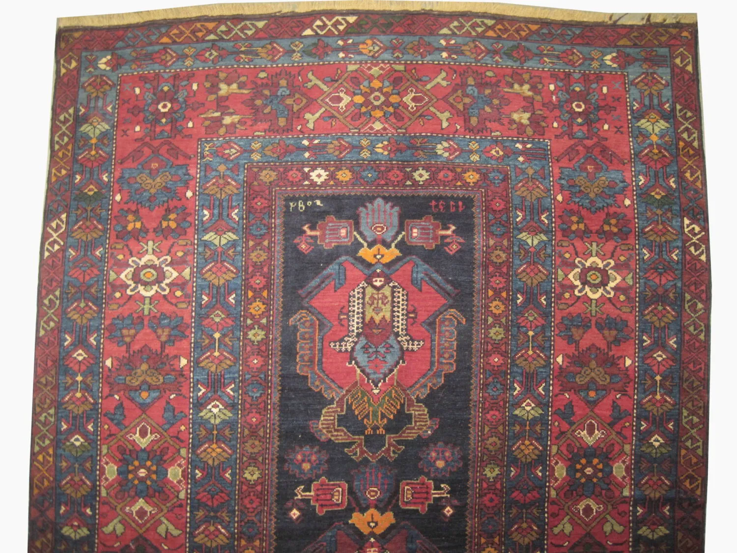 Kouba Caucasian - Image 2