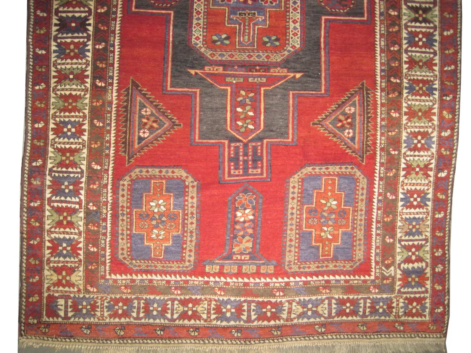 Konakent Caucasian - Image 3