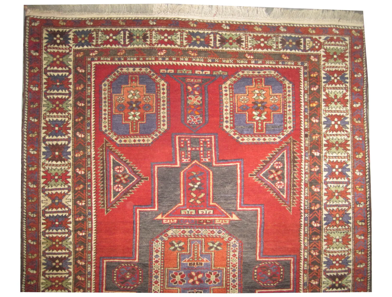 Konakent Caucasian - Image 2