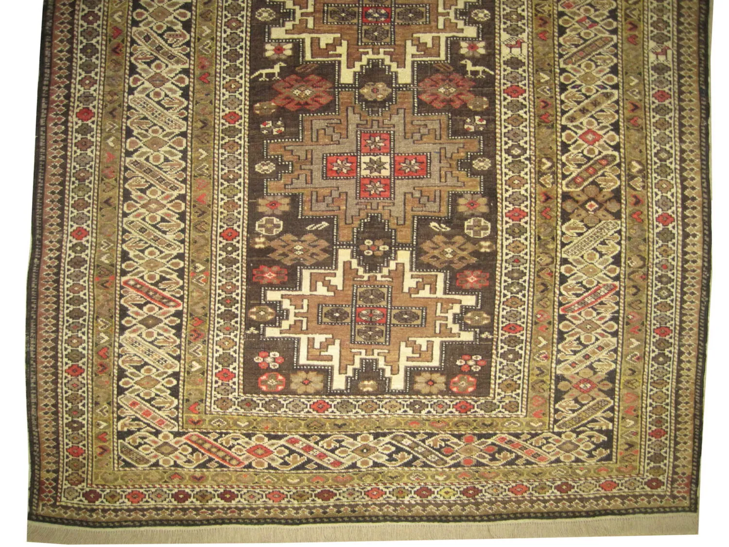Chichi Caucasian - Image 2