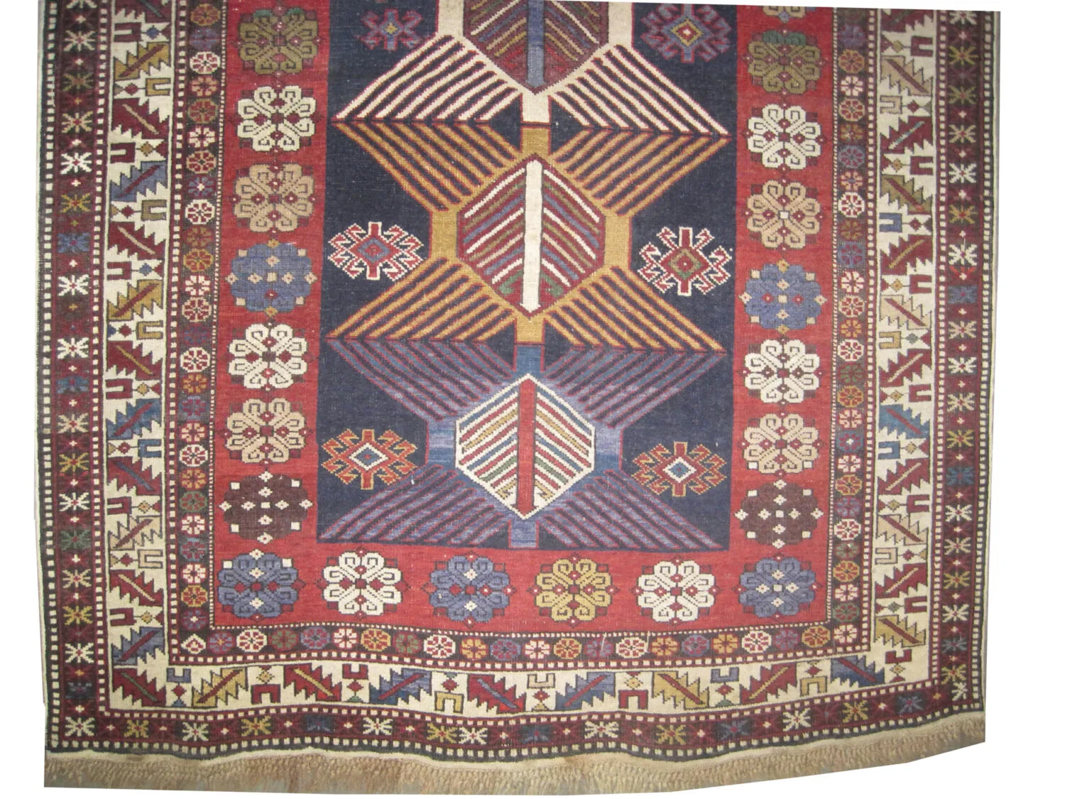 Dagstan Caucasian - Image 3