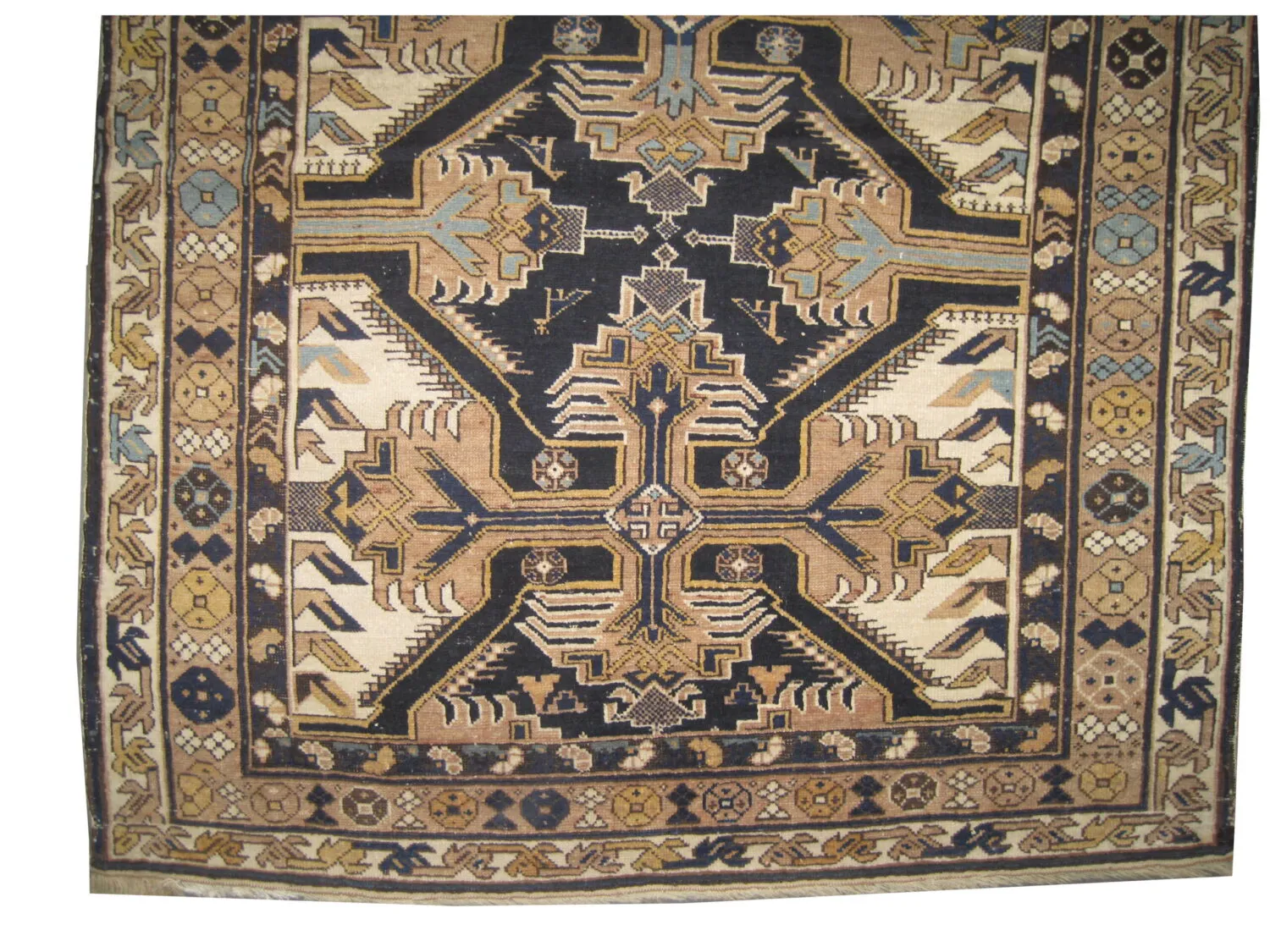 Sejshour Caucasian - Image 3