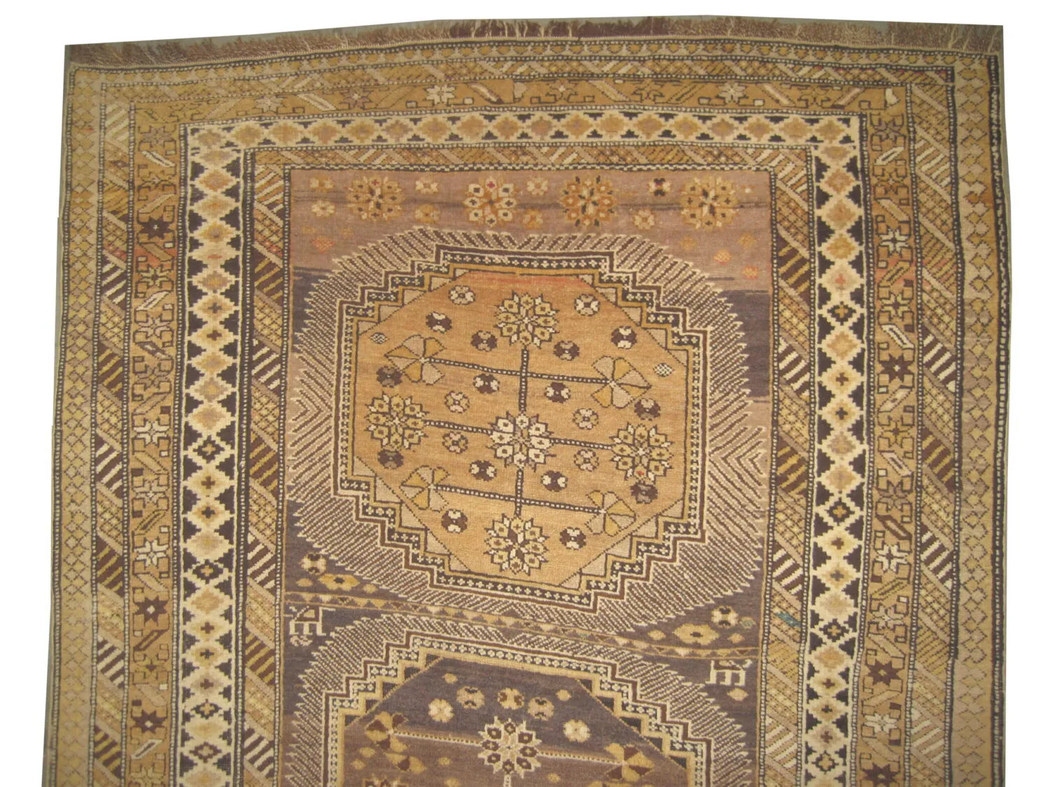 Chila Caucasian - Image 2