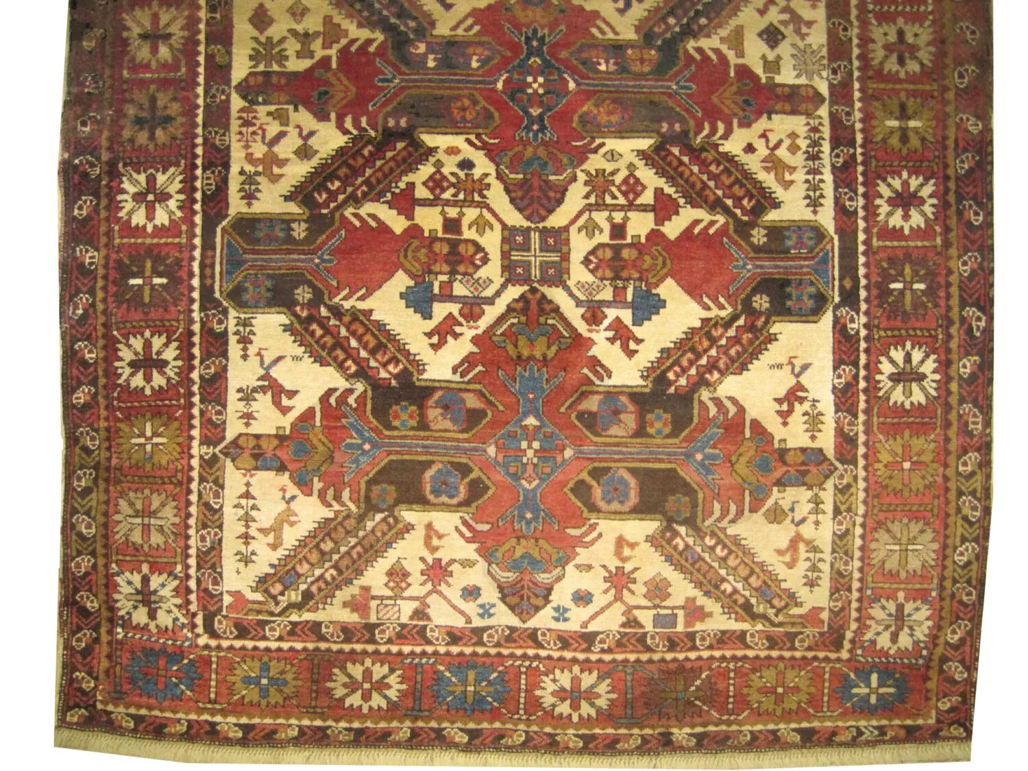 Sejshour Caucasian - Image 2