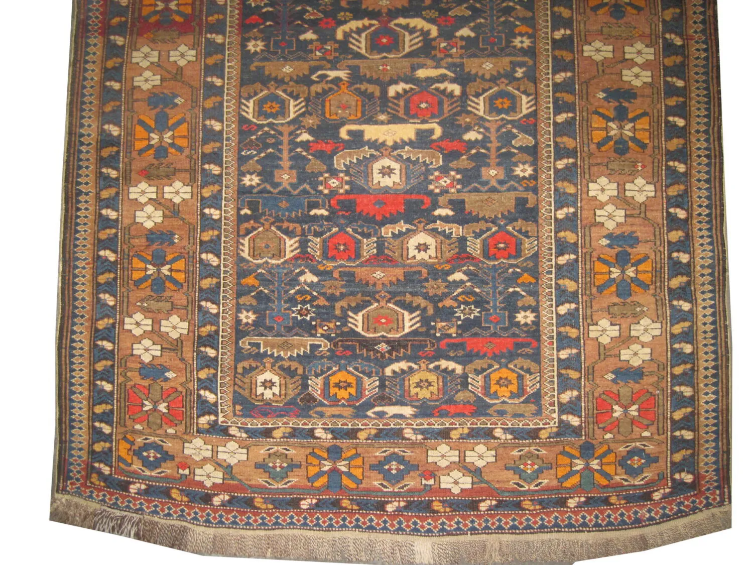 Perepedil Caucasian - Image 3
