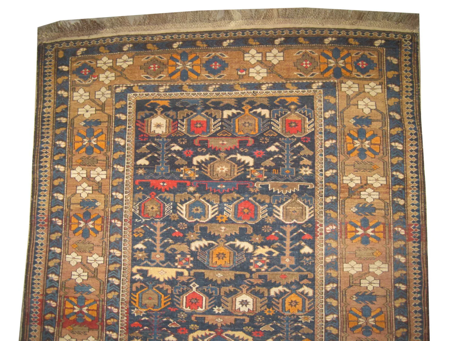 Perepedil Caucasian - Image 2