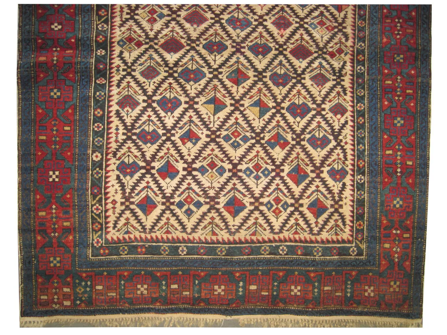 Dagstan Caucasian - Image 3