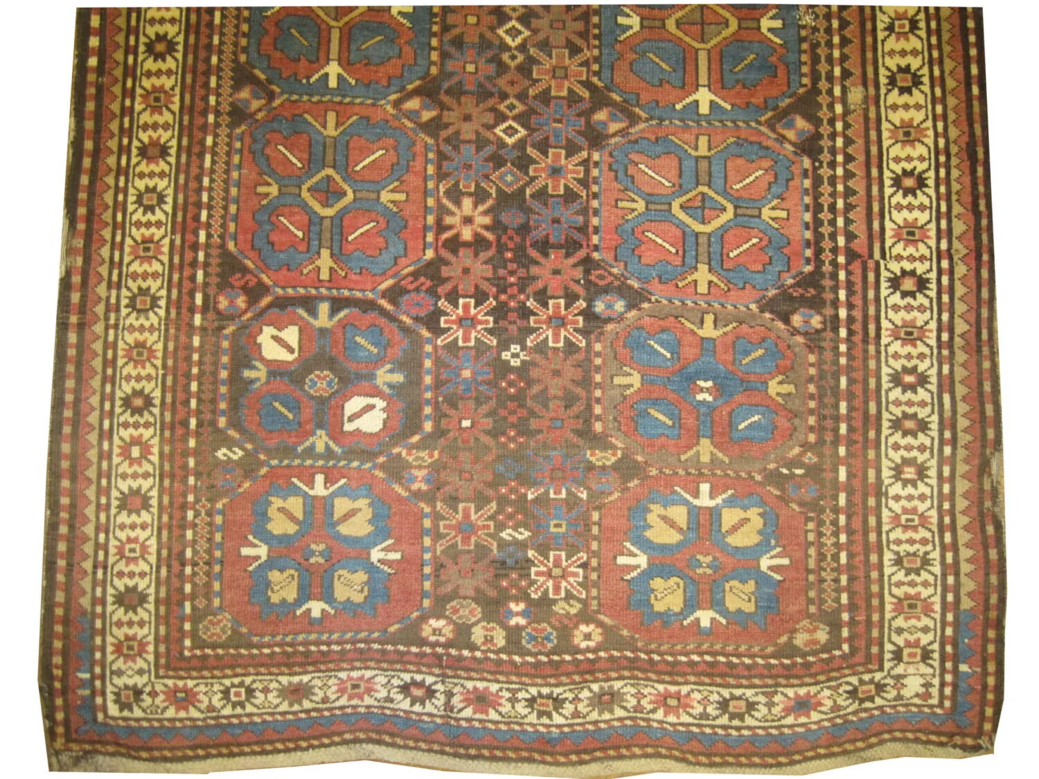 Lambalo Kazak Caucasian - Image 3