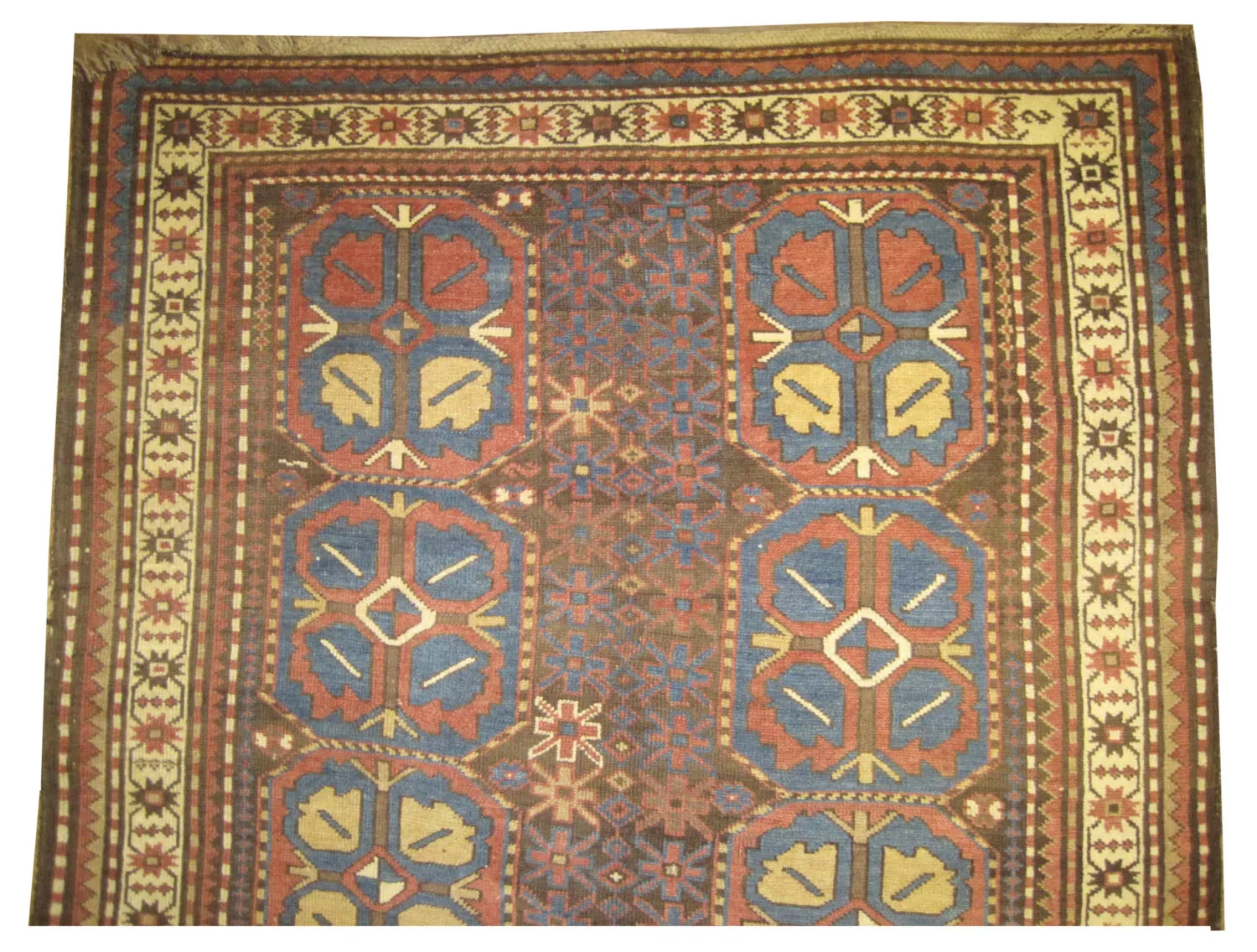 Lambalo Kazak Caucasian - Image 2