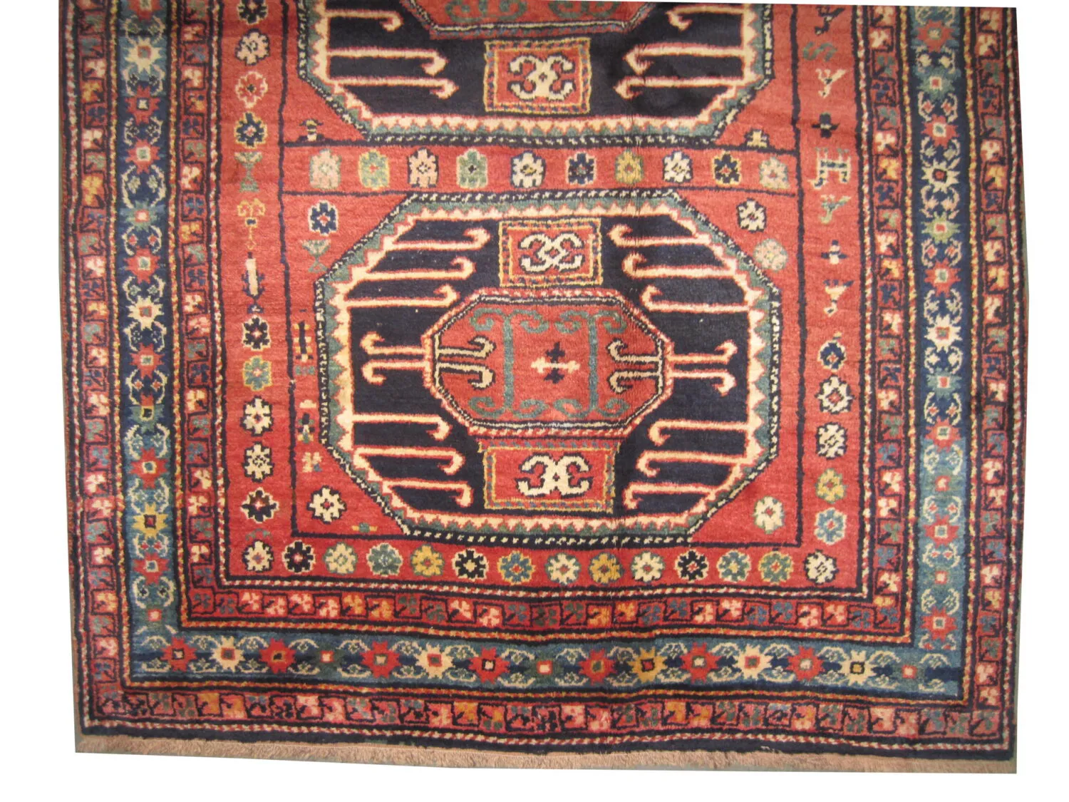Karatchoph Caucasian - Image 3