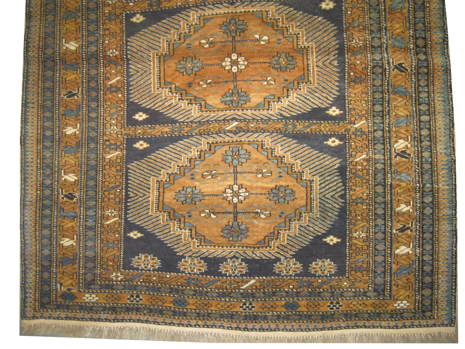 Chila Caucasian - Image 3