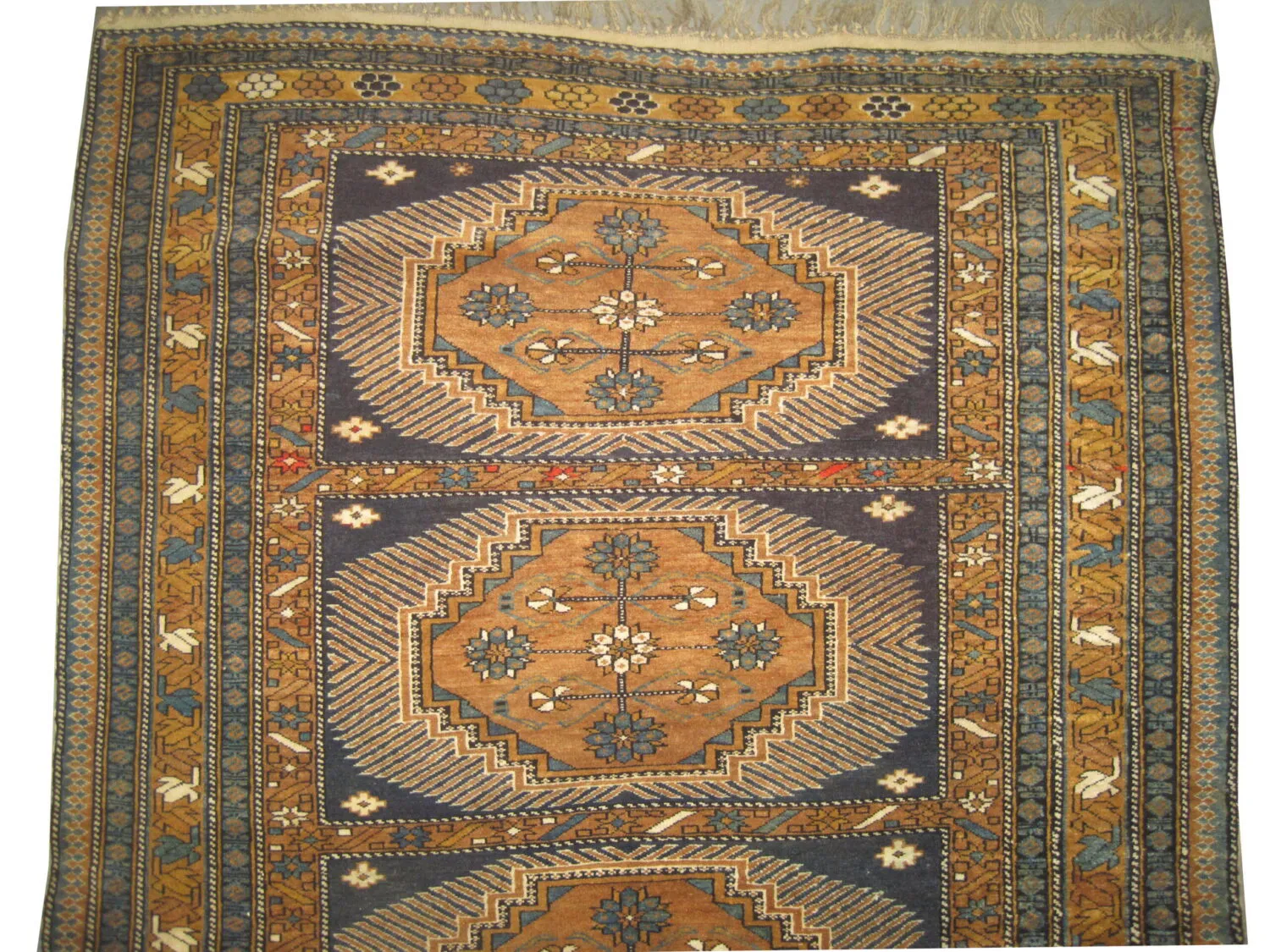 Chila Caucasian - Image 2