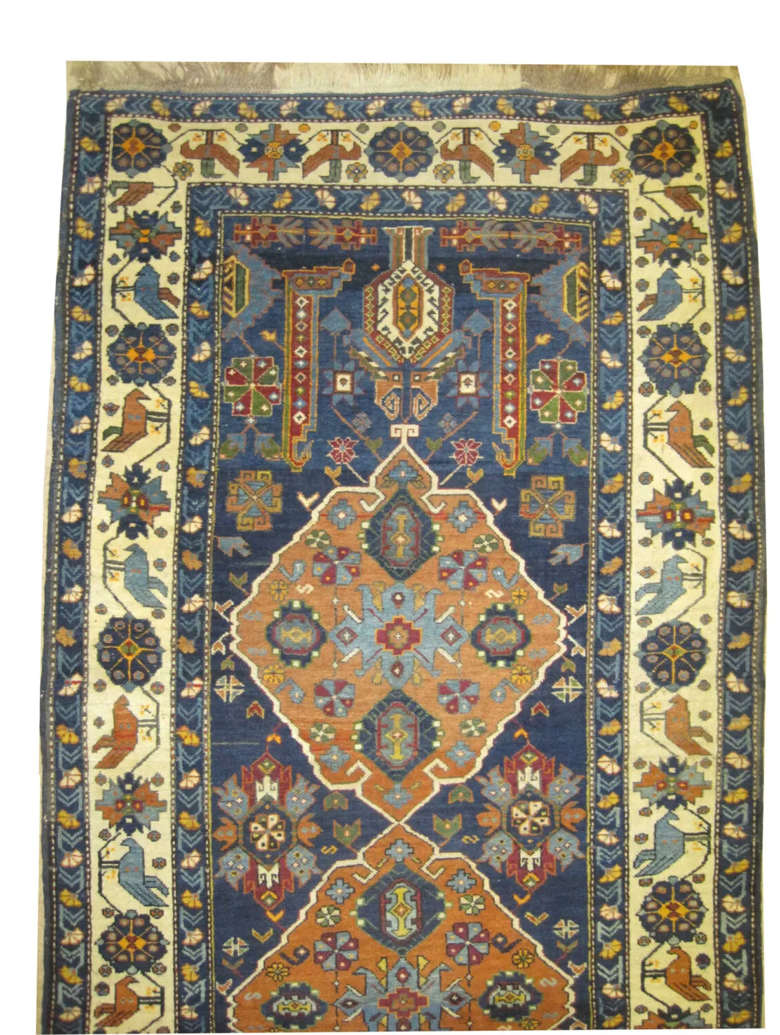 Kouba Caucasian - Image 3