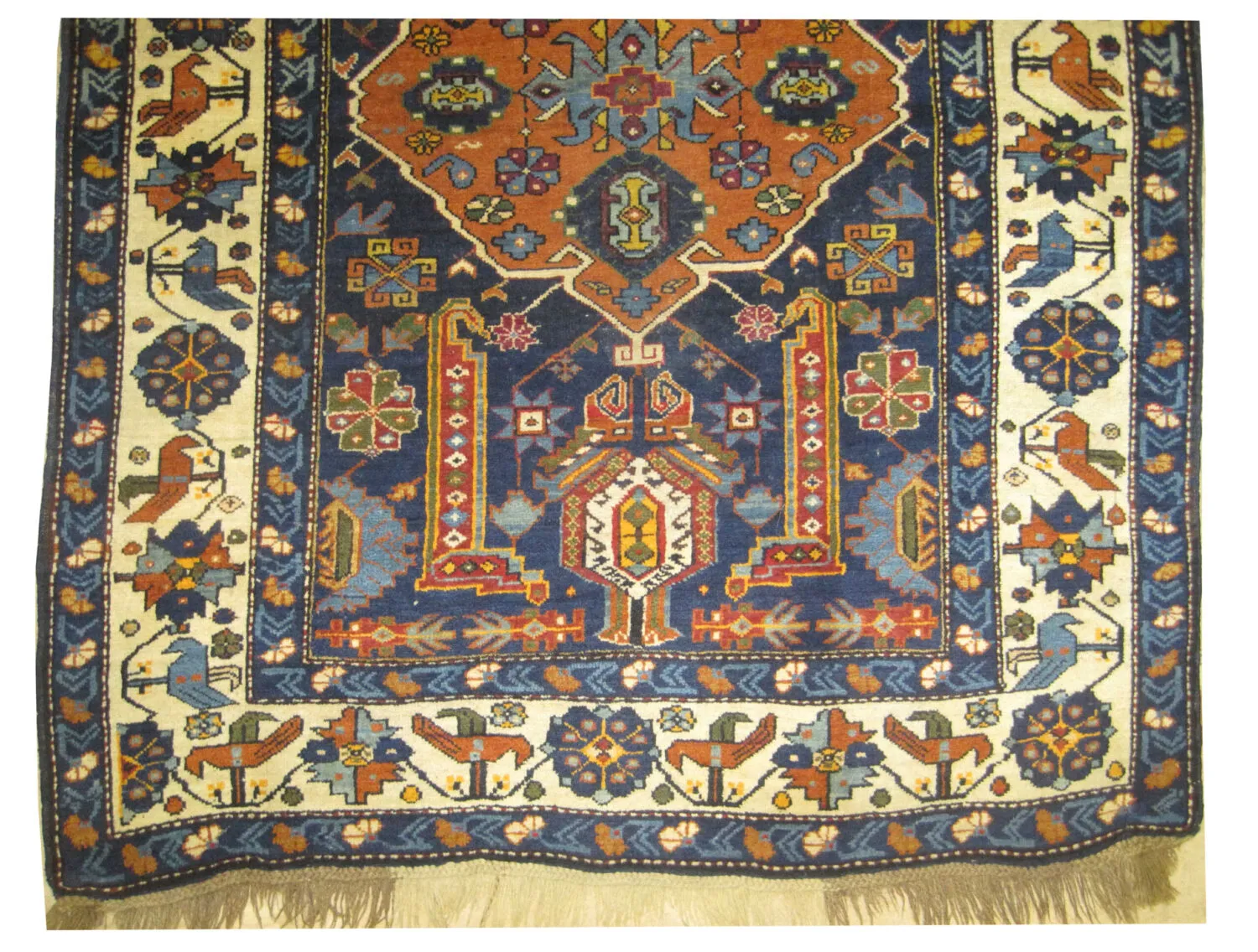 Kouba Caucasian - Image 2