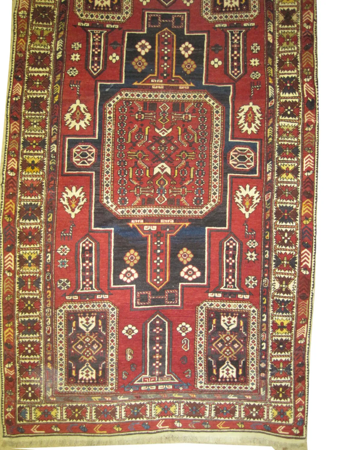 Konakent Caucasian - Image 2