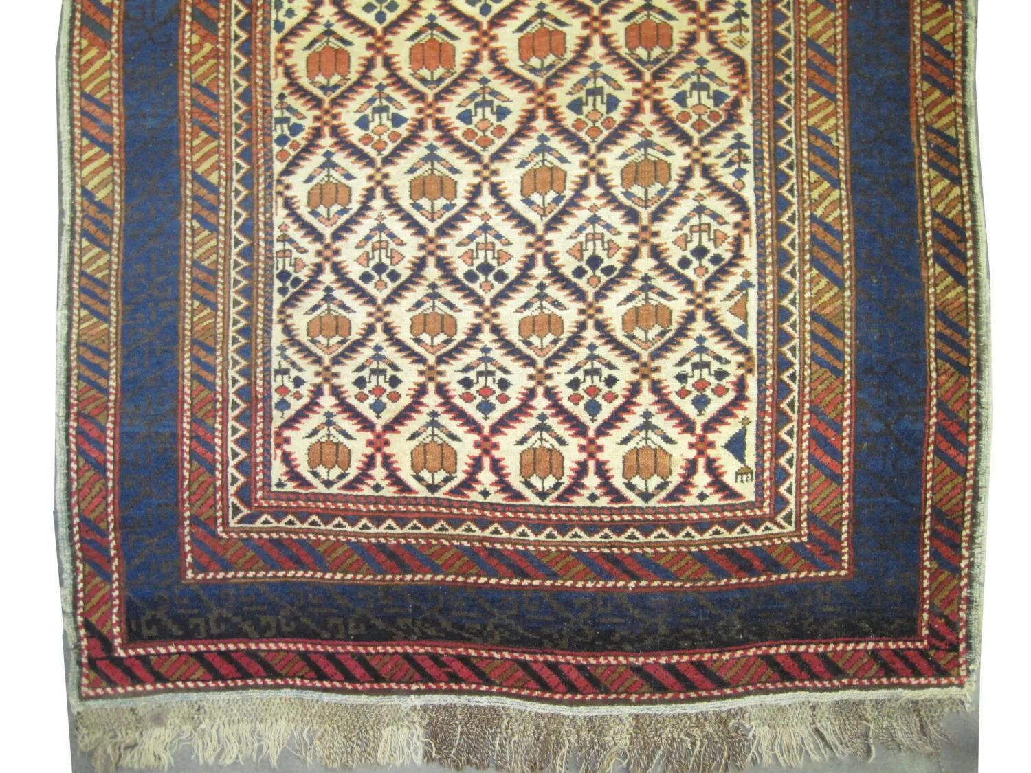 Kouba Caucasian - Image 3