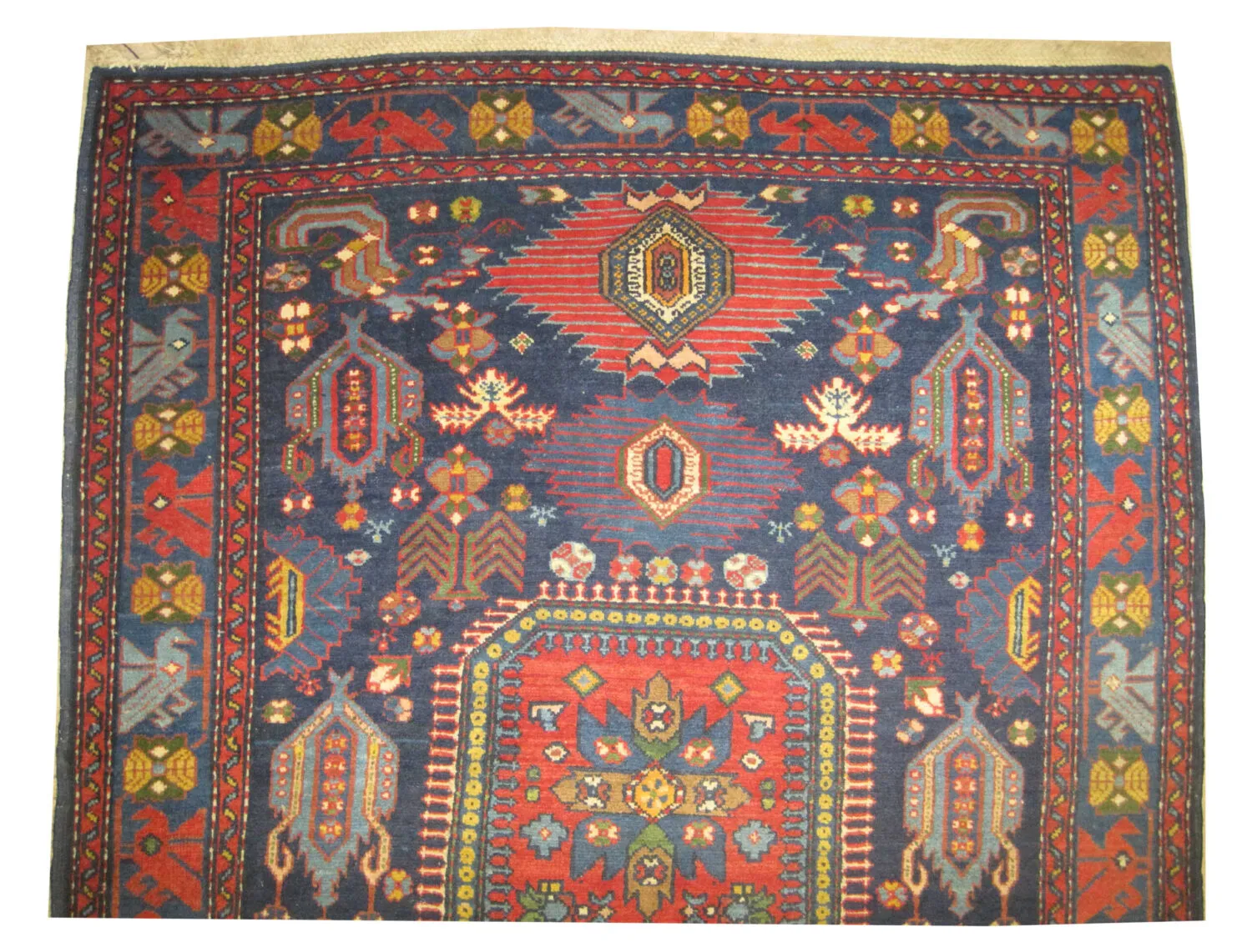 Kouba Caucasian - Image 3