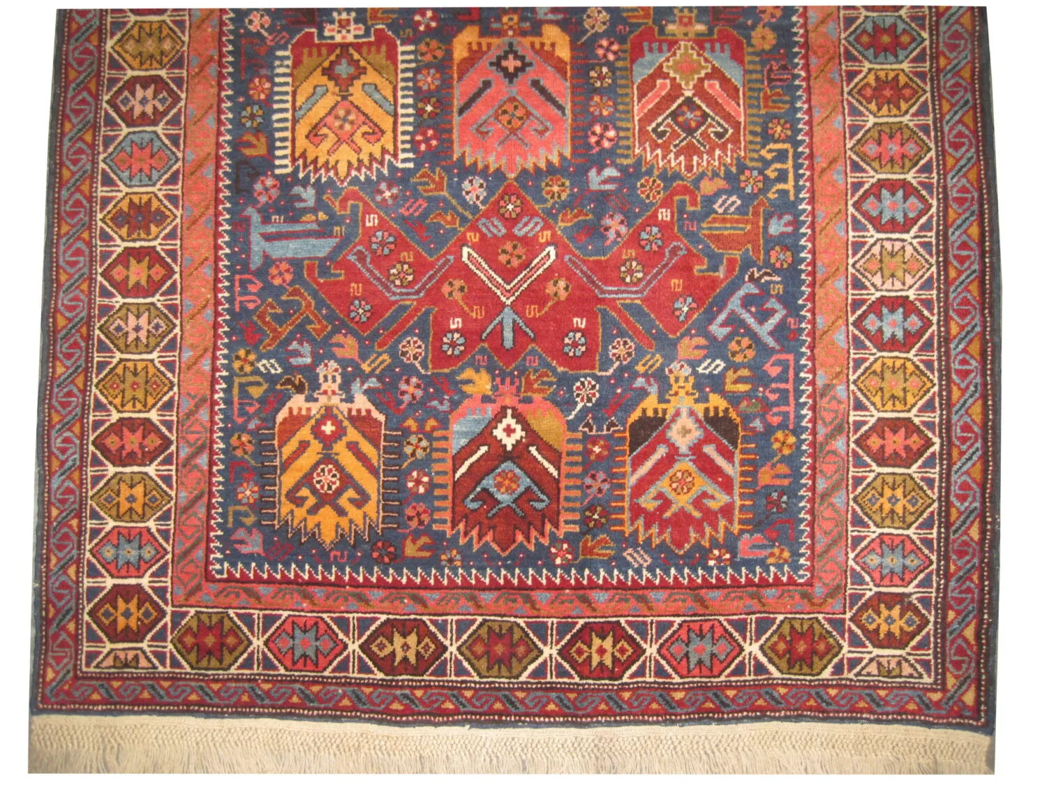 Bidjof Caucasian - Image 3