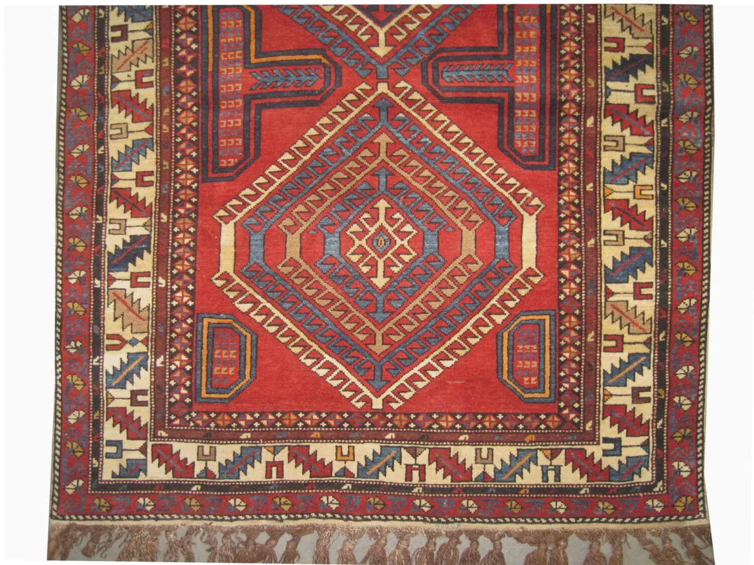 Shirvan Caucasian - Image 3