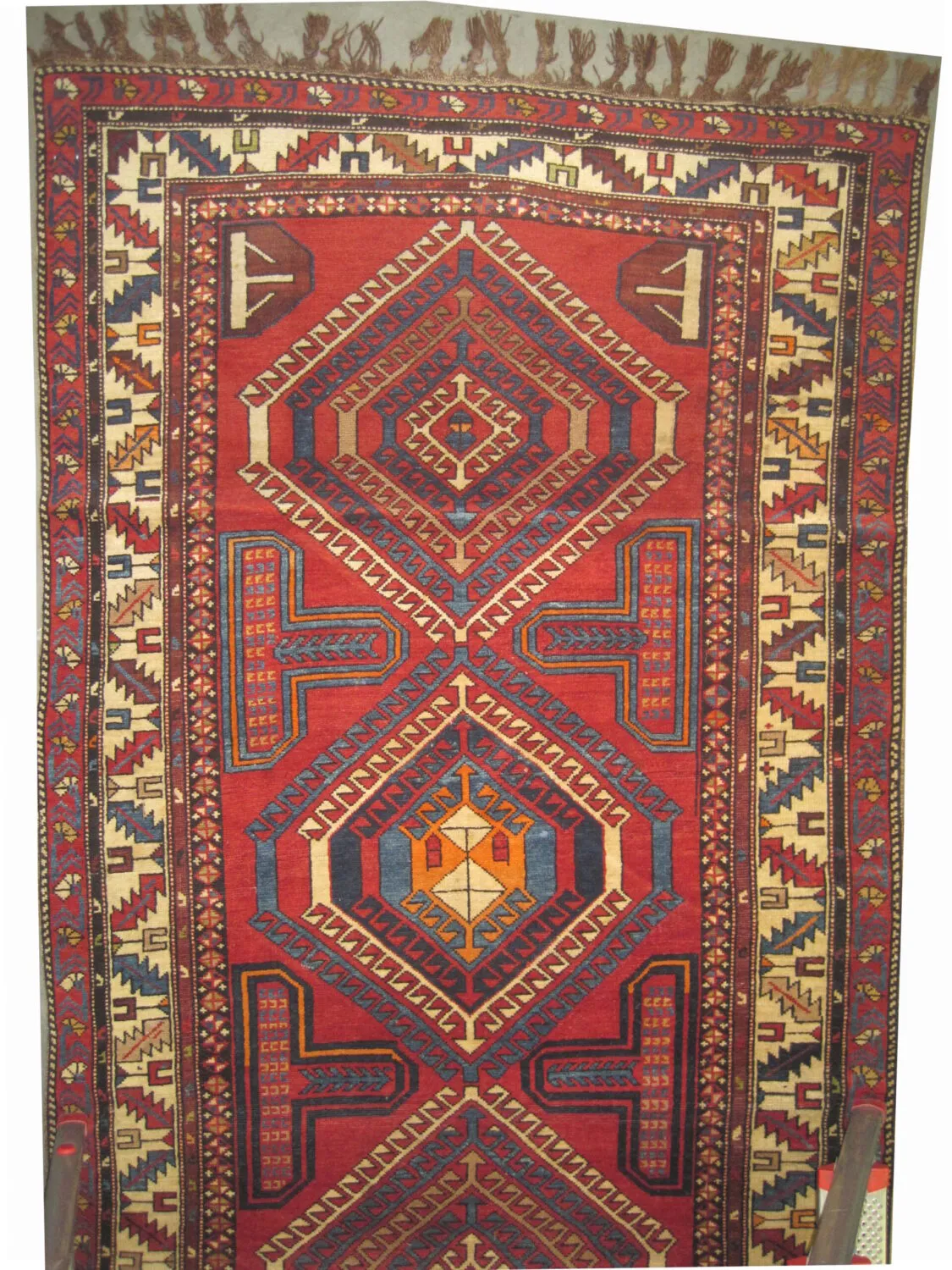 Shirvan Caucasian - Image 2